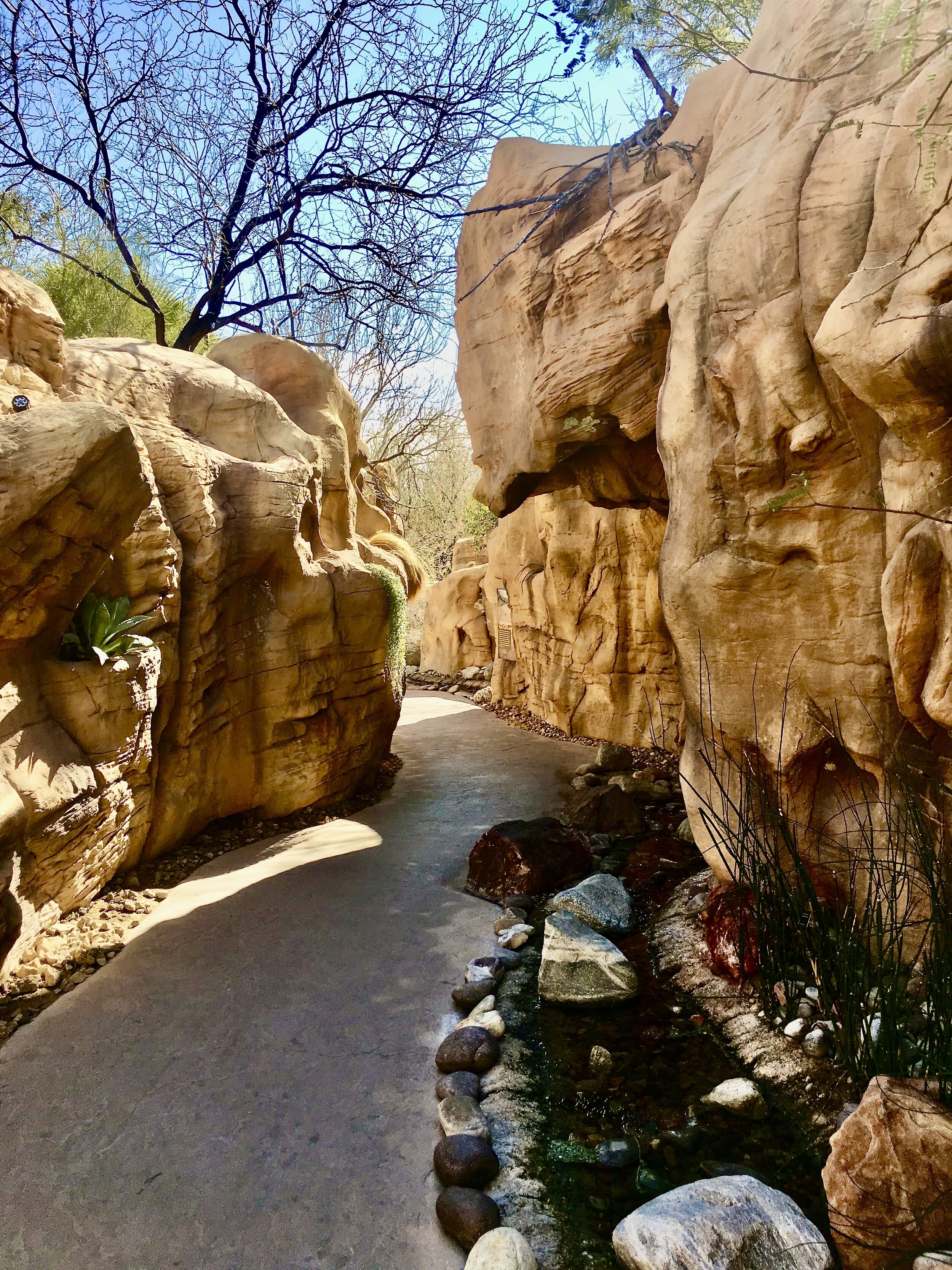 Nevada State Museum, Las Vegas