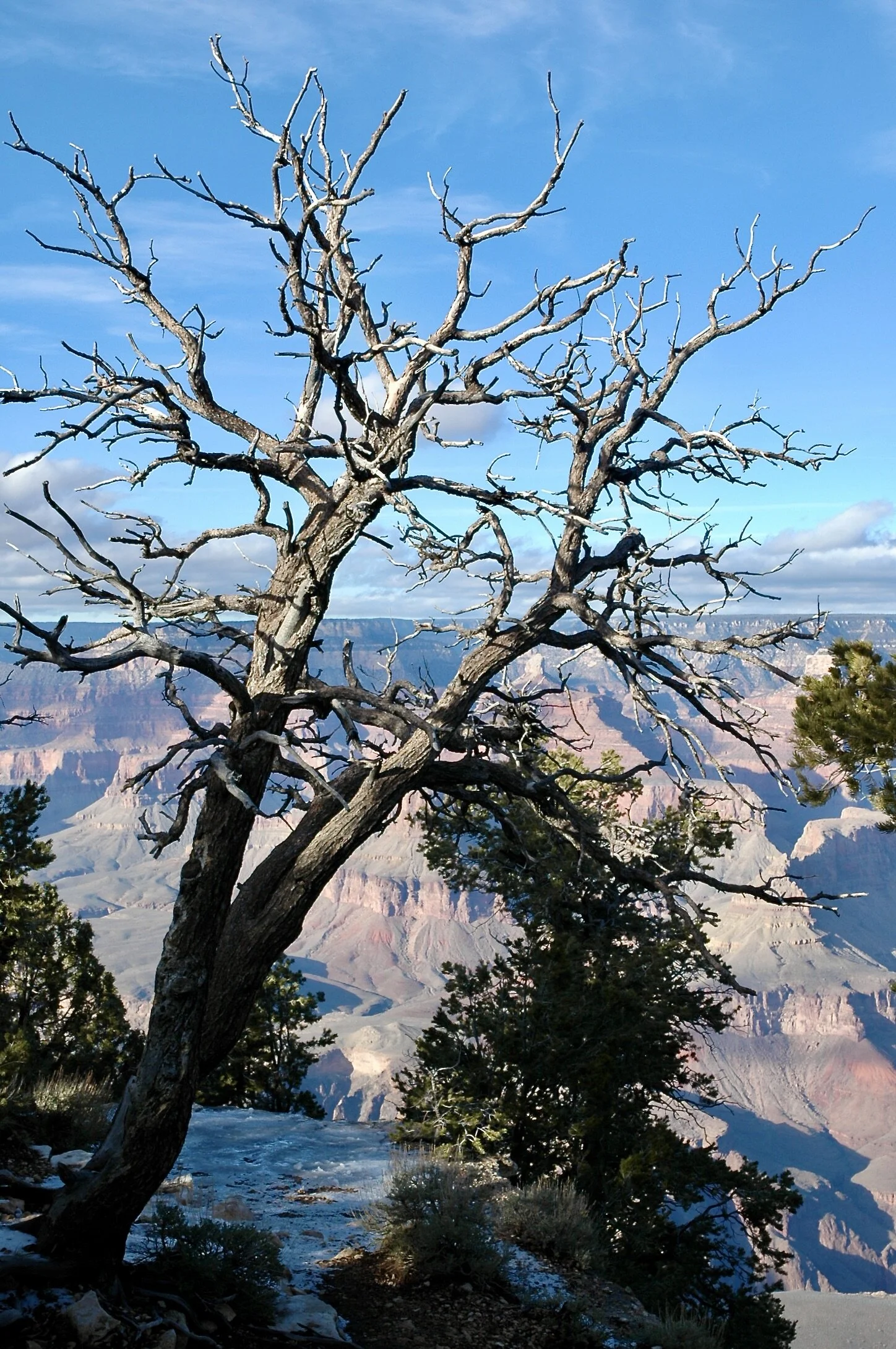 Grand Canyon National Park (Arizona)
