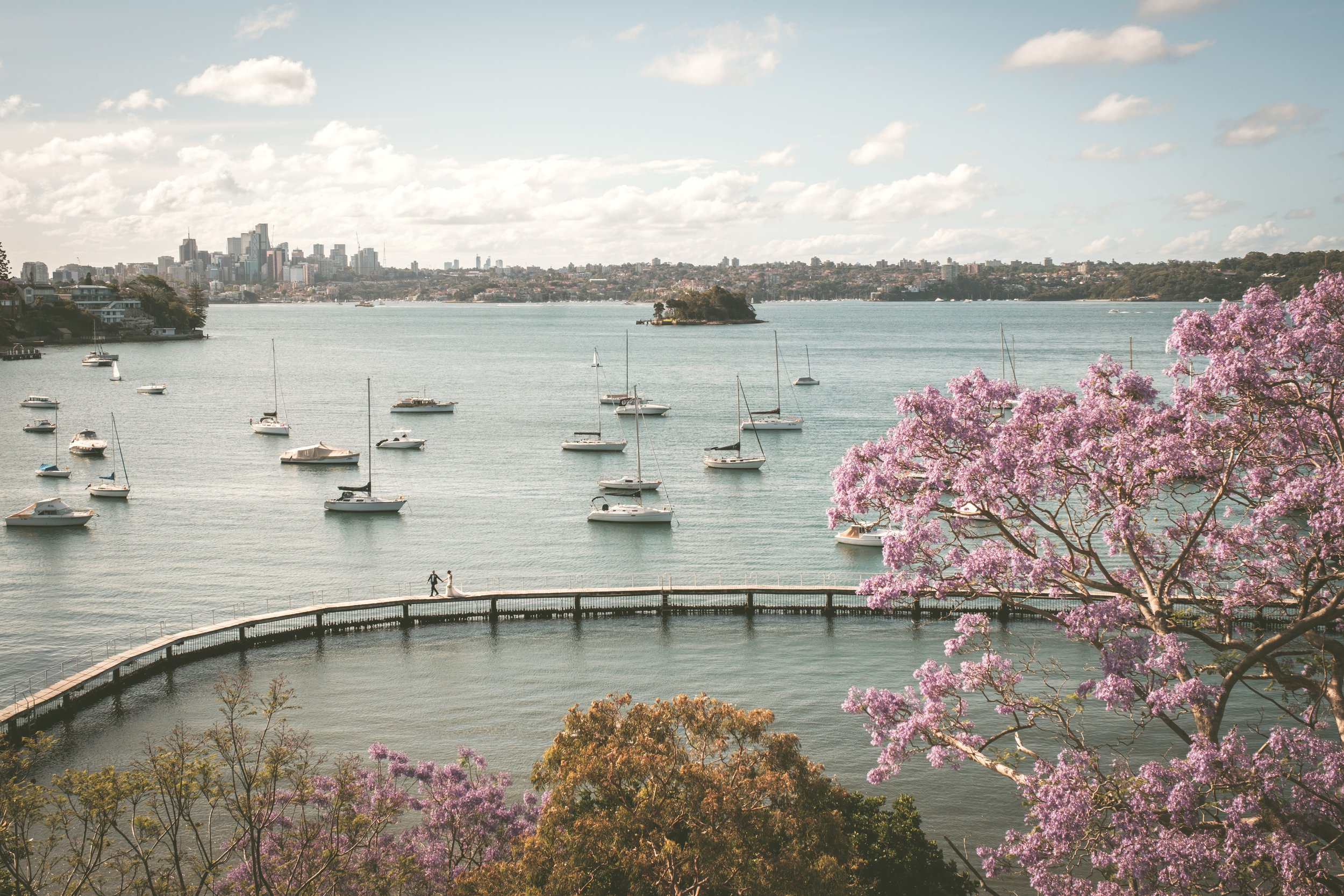 Slideshow // Liz + Brendan's Sydney Wedding
