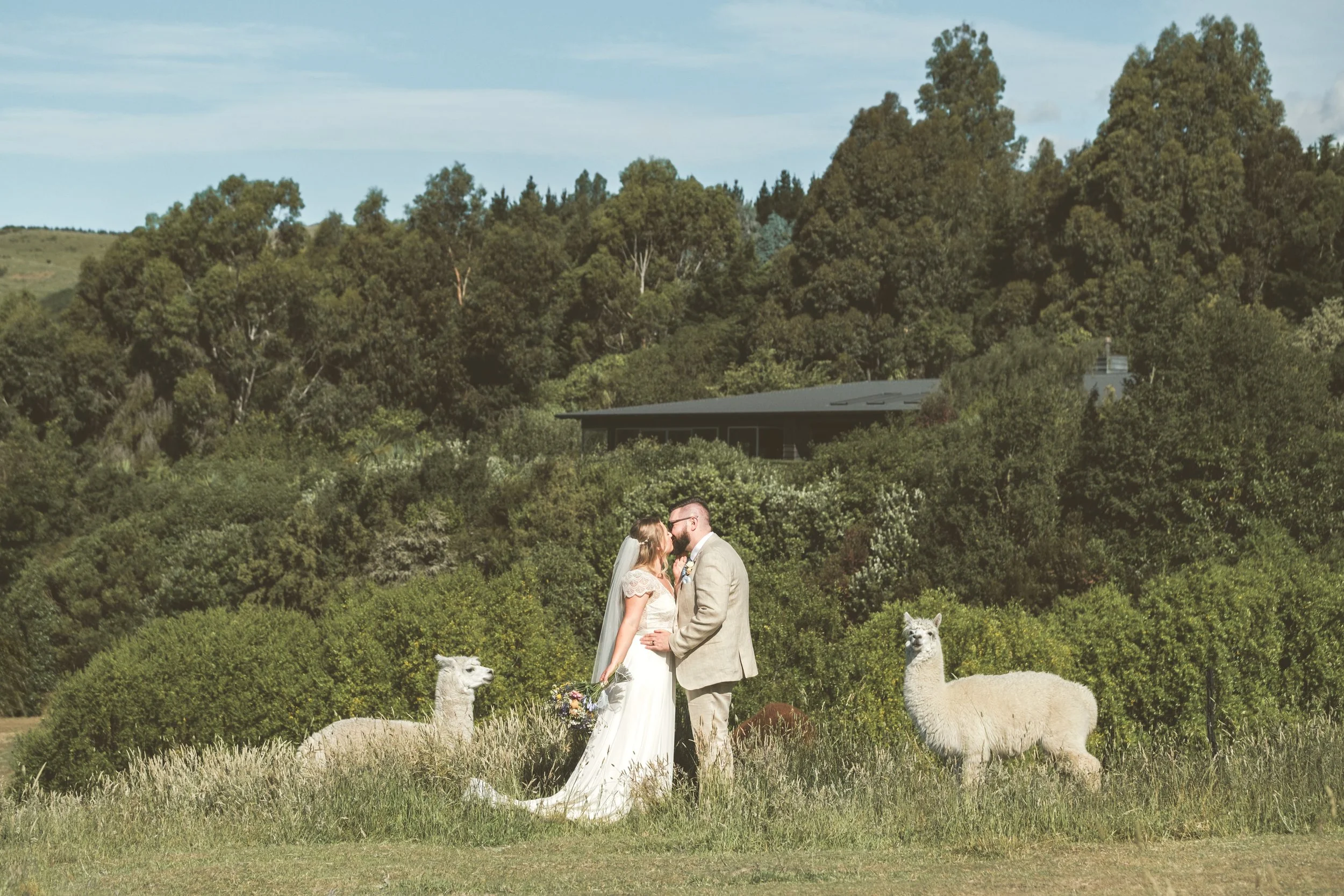Slideshow // Charl + Dom's Christchurch Wedding at Waipuna Estate