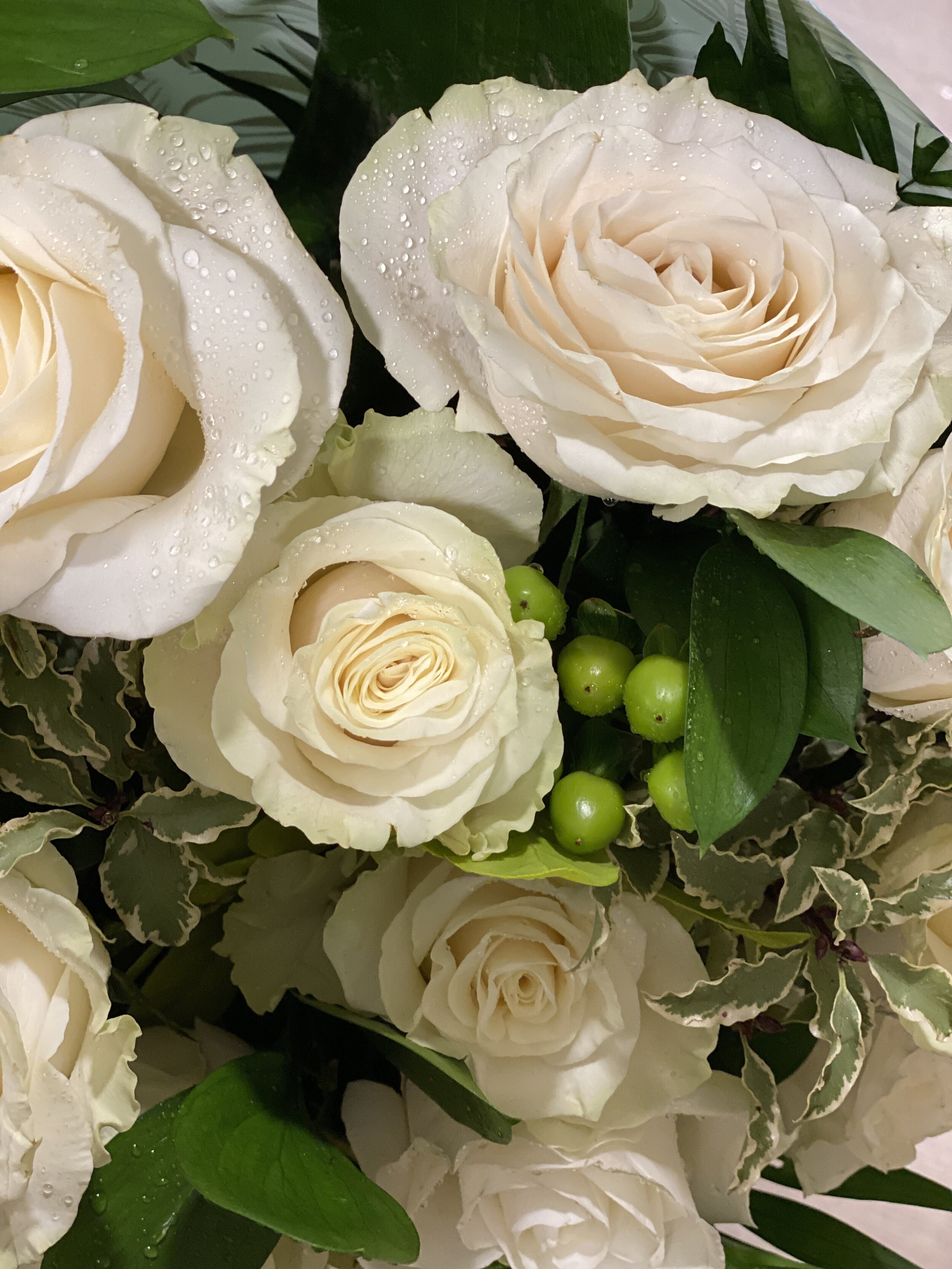 53D8B68E-E2CA-4D57-BF83-9C9D4AE1B28B