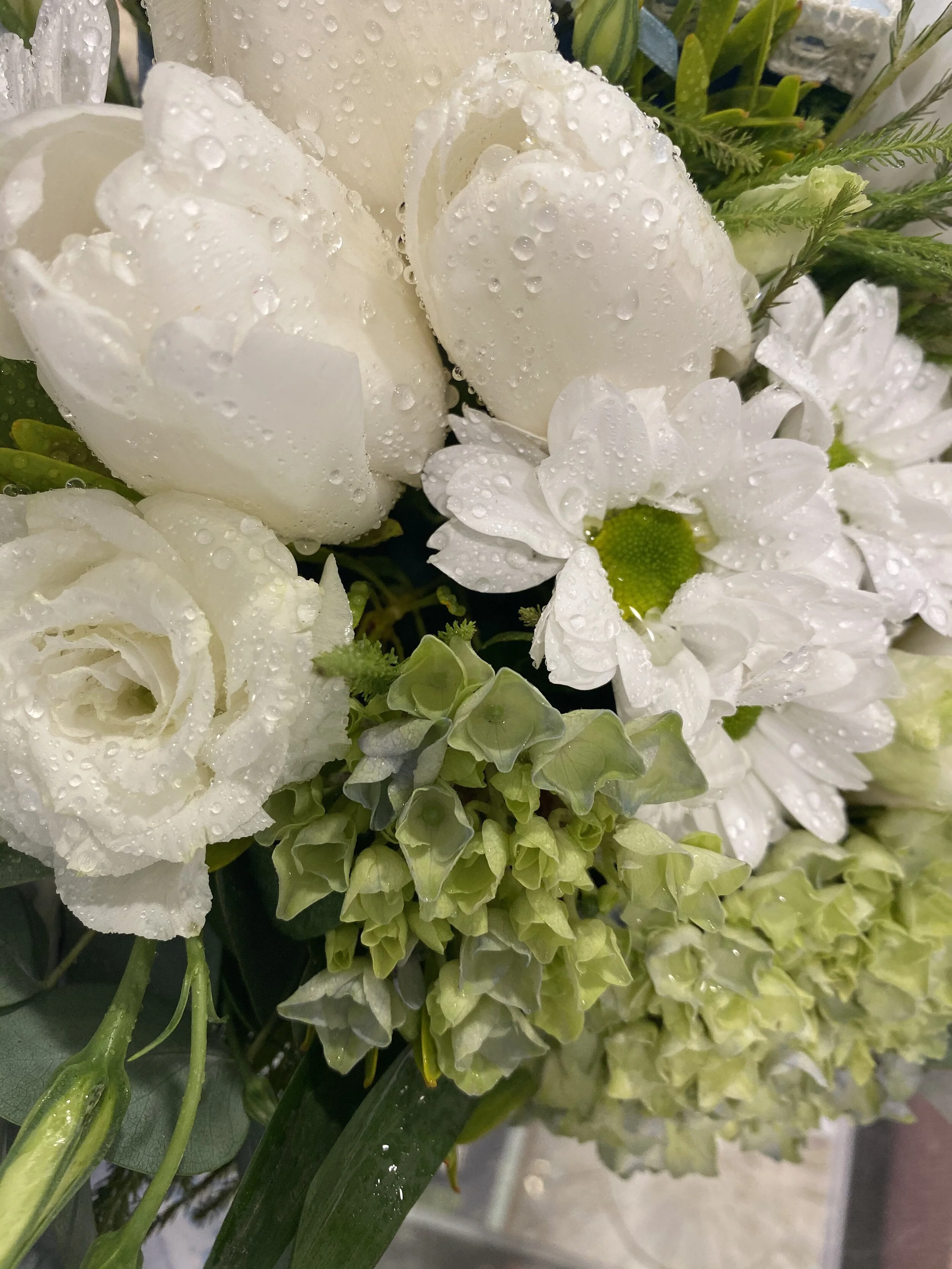 9703914F-7820-4714-8F3D-B35FEC6B5638