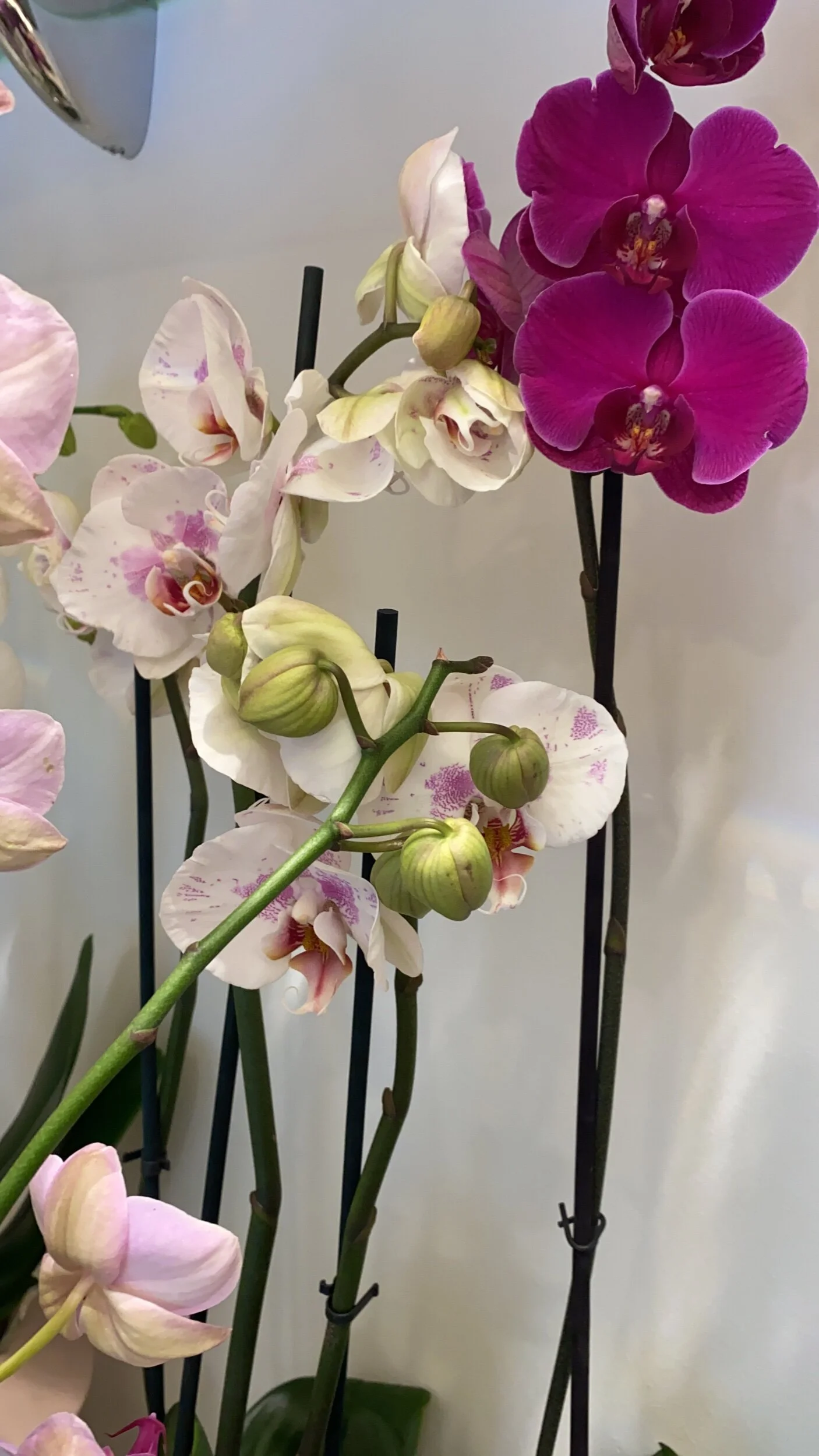 57147B49-53CF-4F36-A284-97A2722E615C