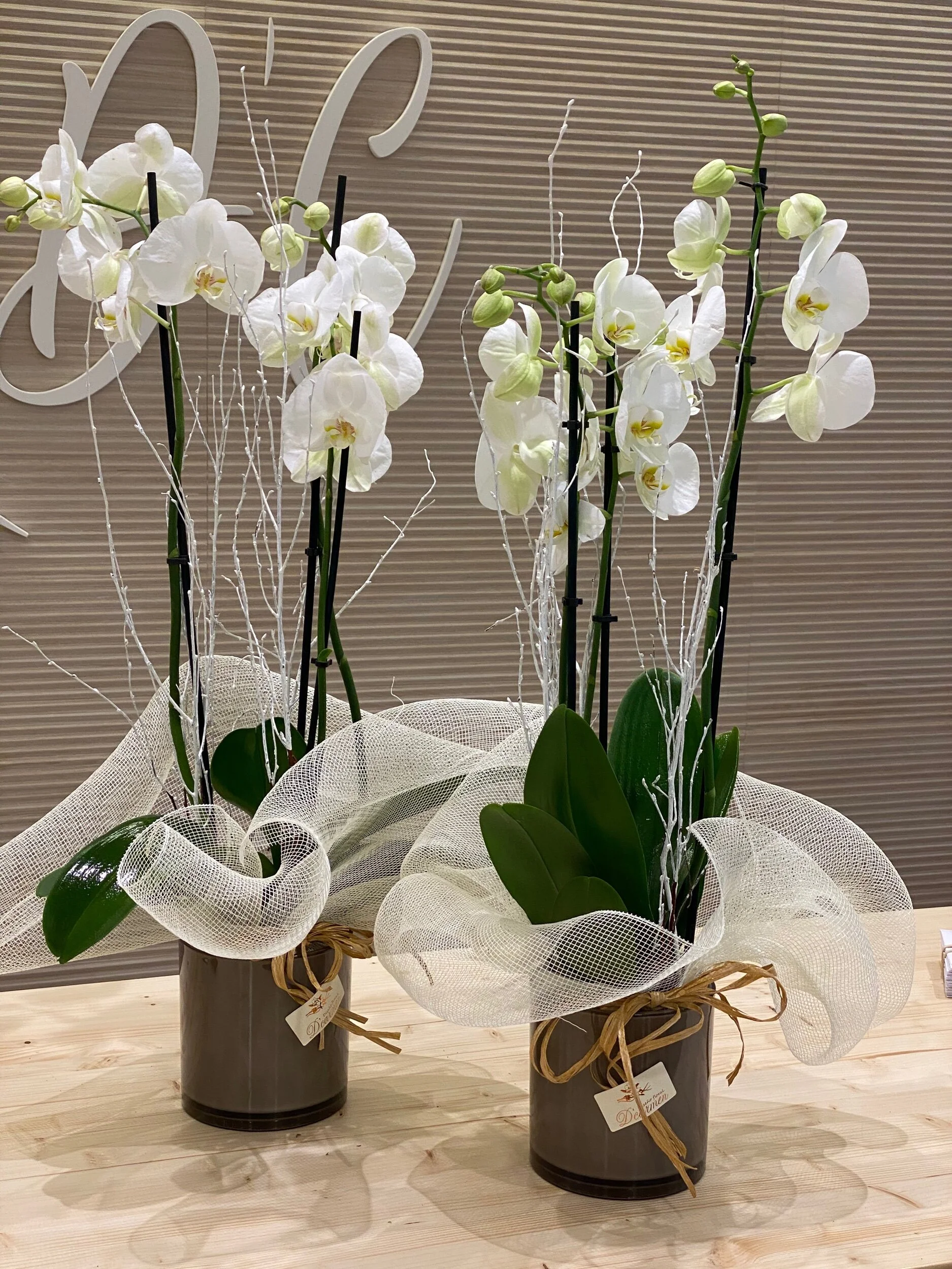 87D3C7B6-B513-4B77-B46F-A084010ABA19