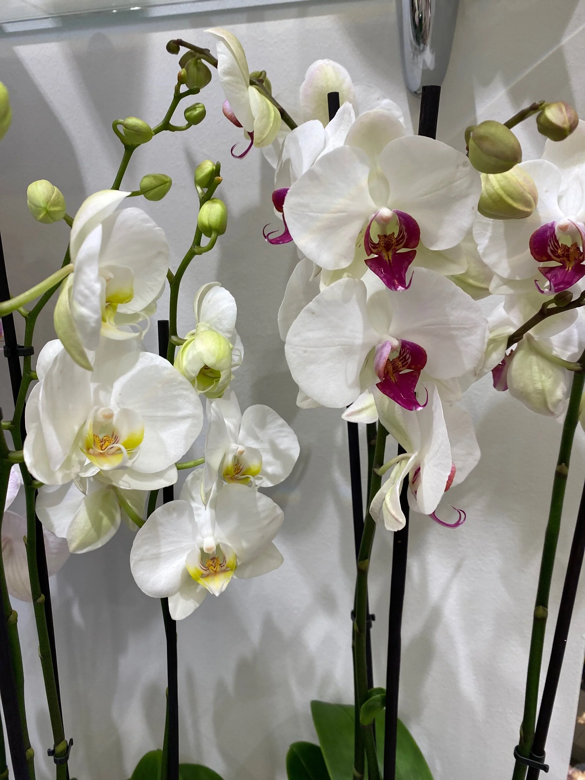 AB73E0B0-76CD-4757-AB67-C7F0AF245F1D