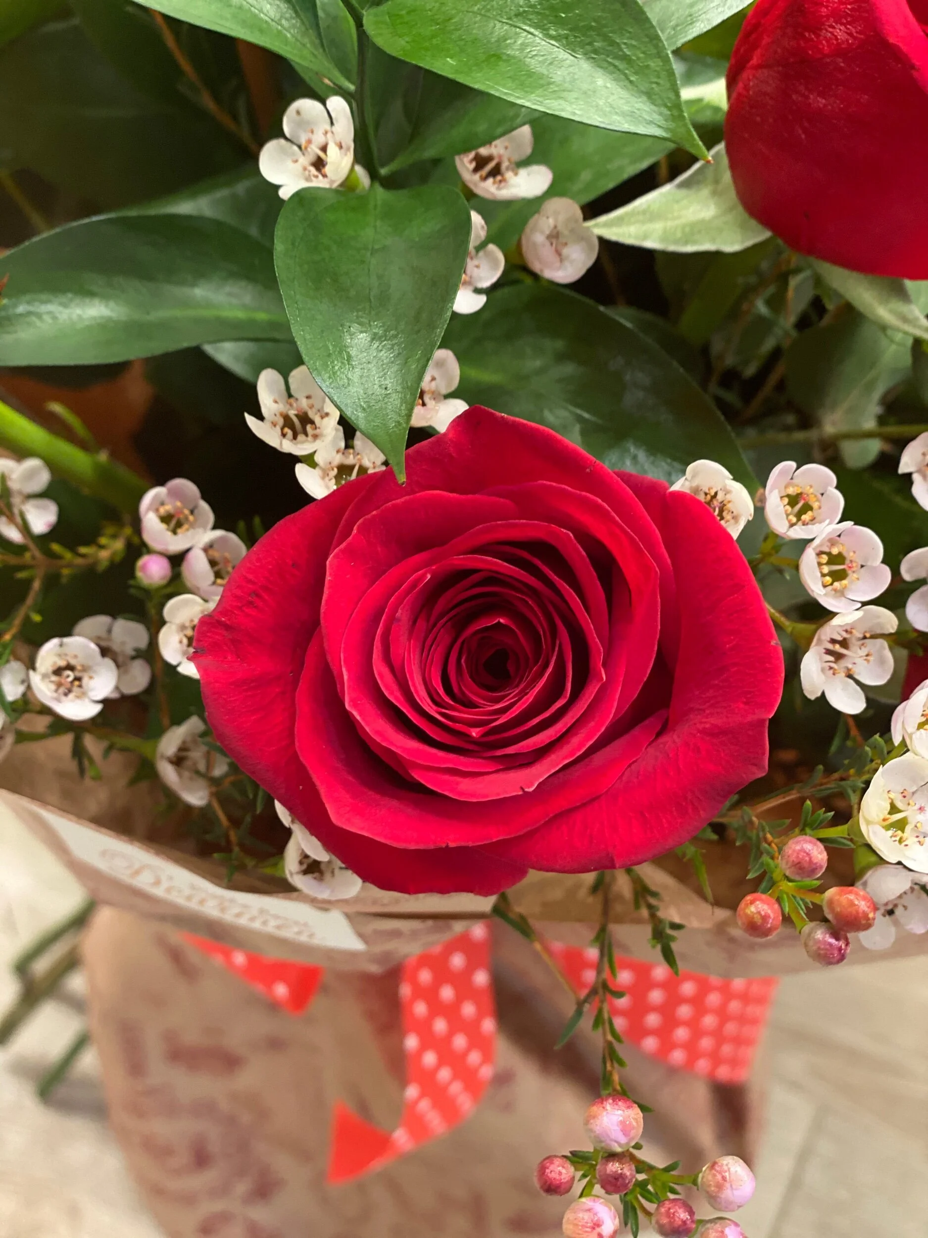 69519E58-EED9-437A-9C52-65204BE760D7