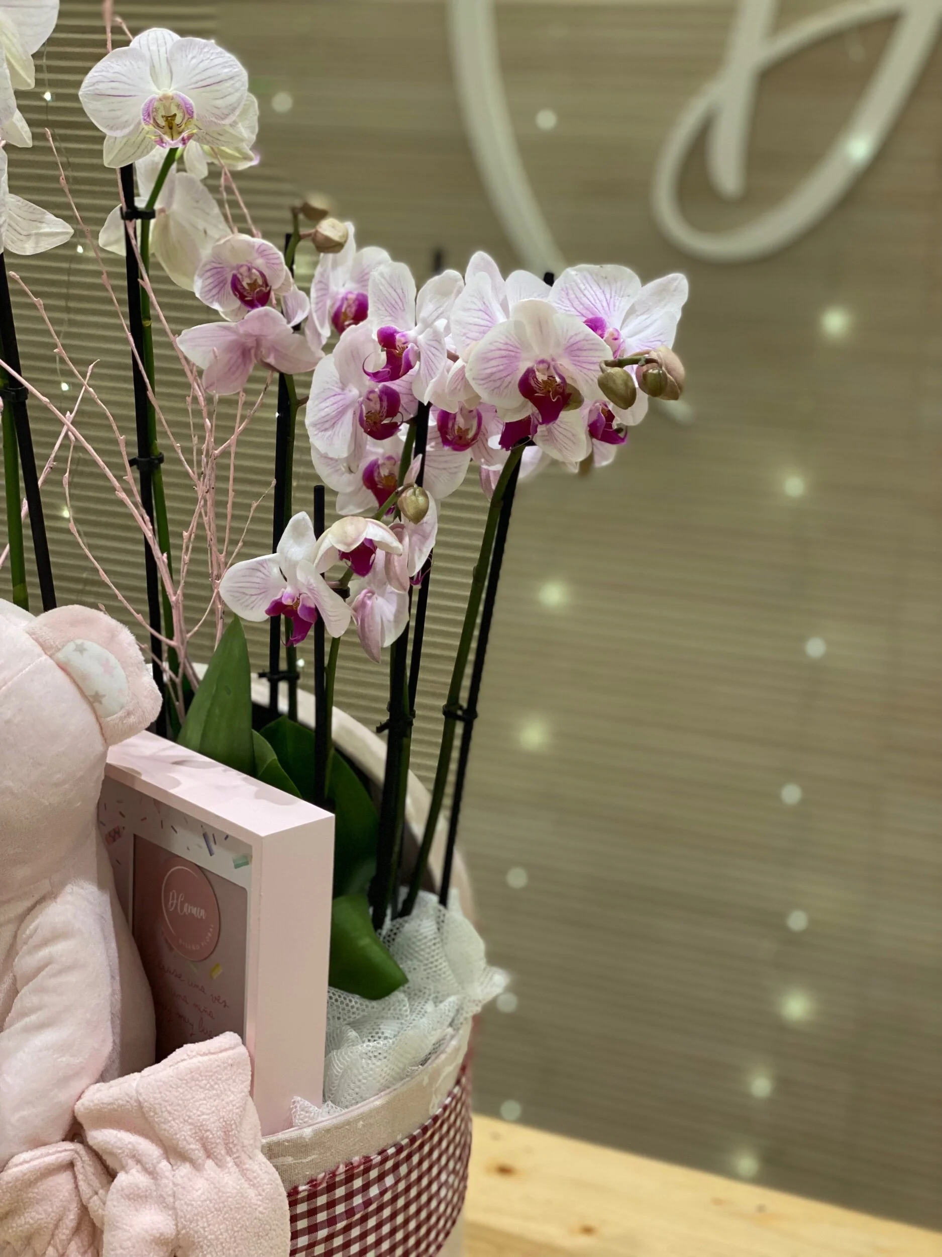 F71EF917-9BFE-48D1-93B5-B5EFE046A4B6