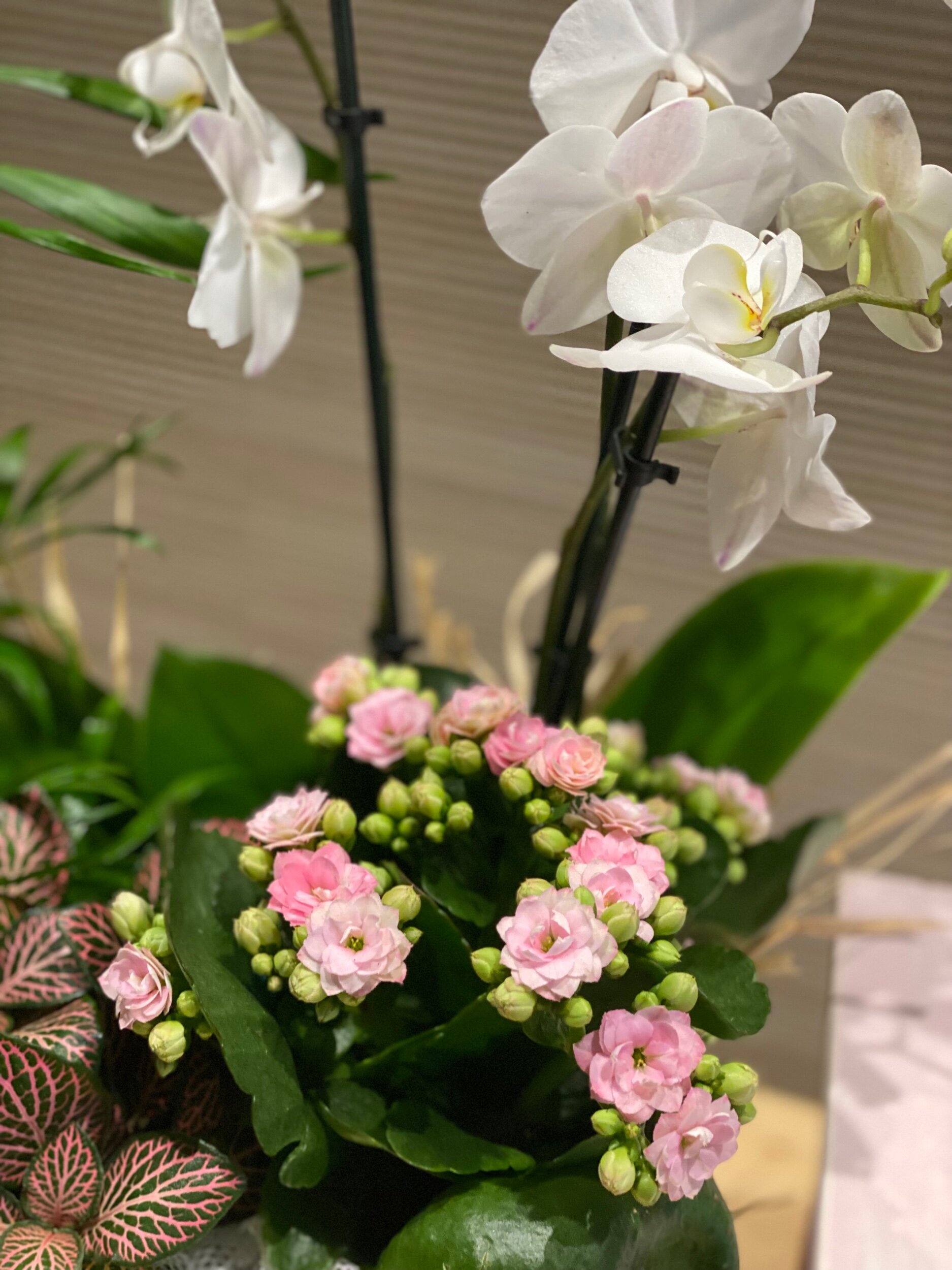 7C55CF17-F923-4FFB-AEB1-420EDBE453E8