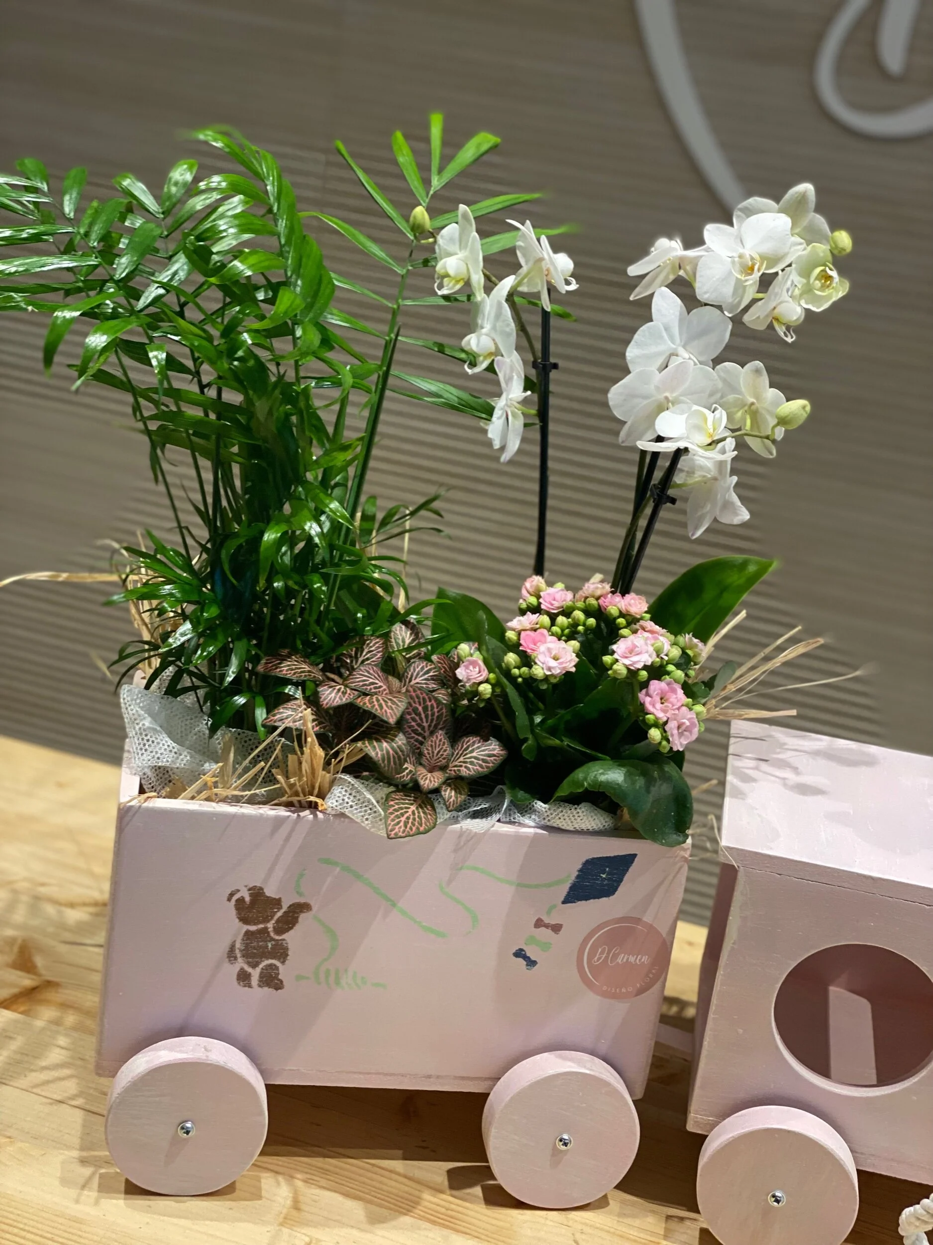 3FC9A949-6E72-4844-873A-7CCD214F39C2