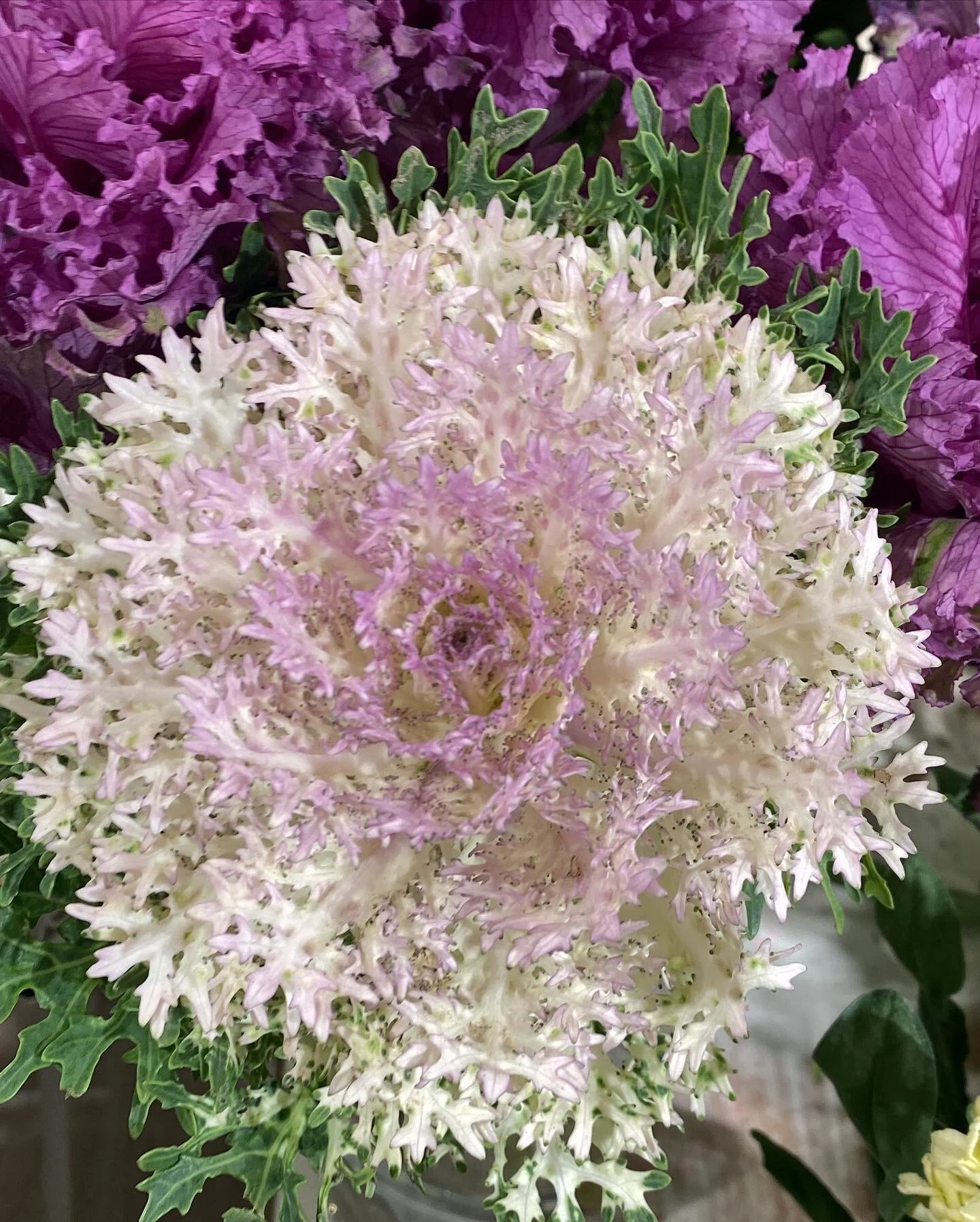 20579709-1ECF-46B6-A23D-CCC186C569BD