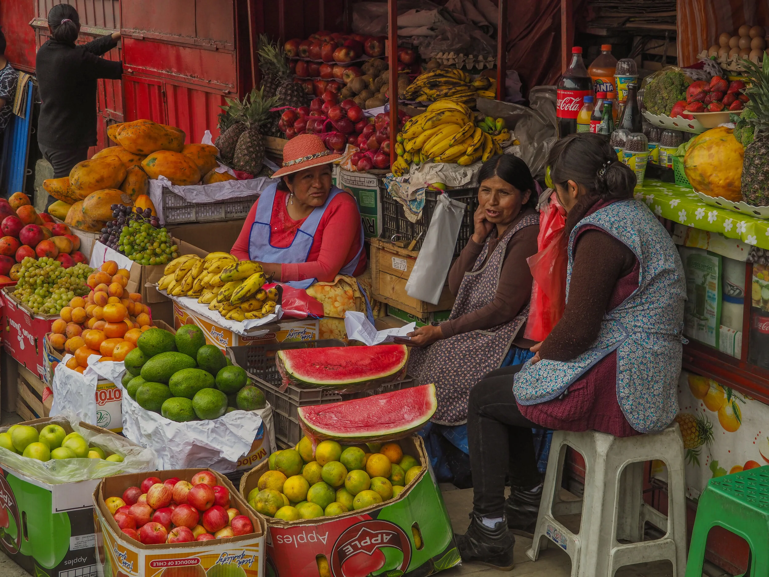 Colaborando con una ONG en Bolivia, contra la violencia doméstica