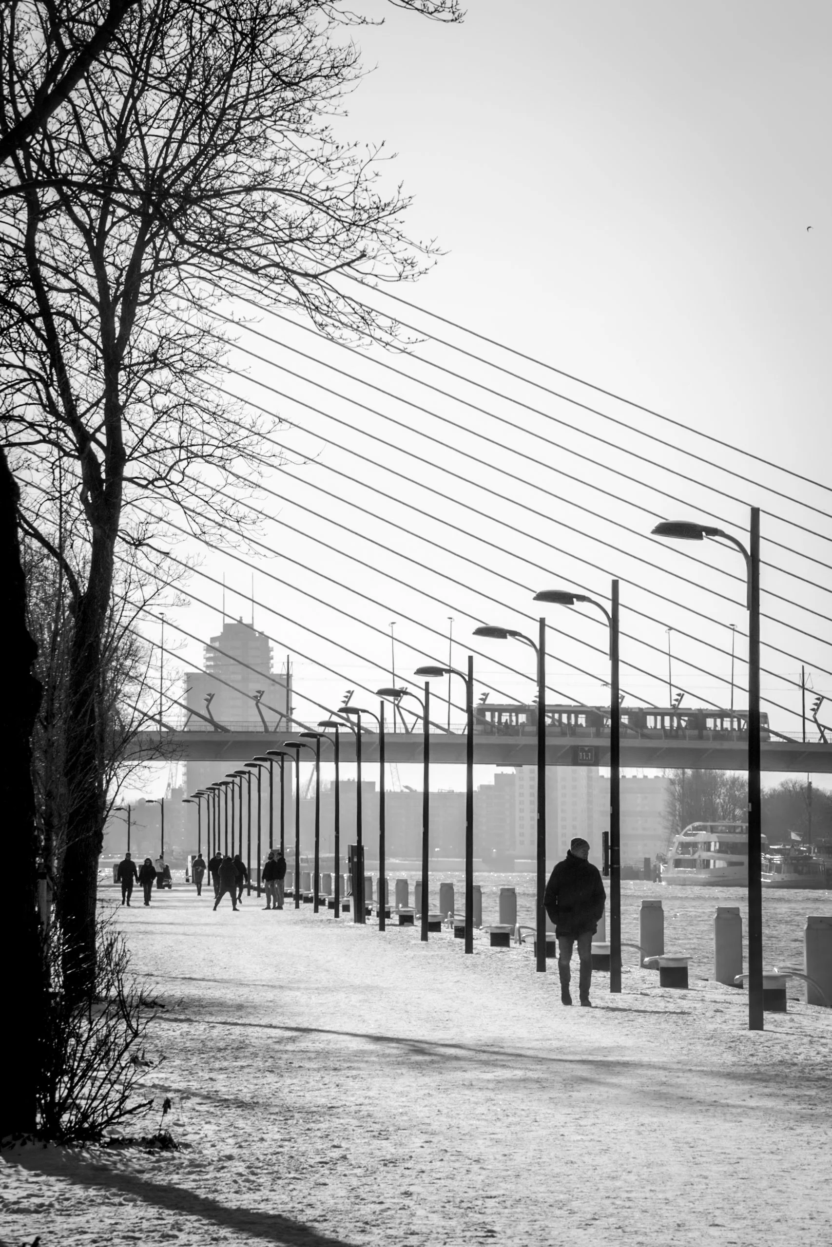 20210211-_MG_7822.jpg