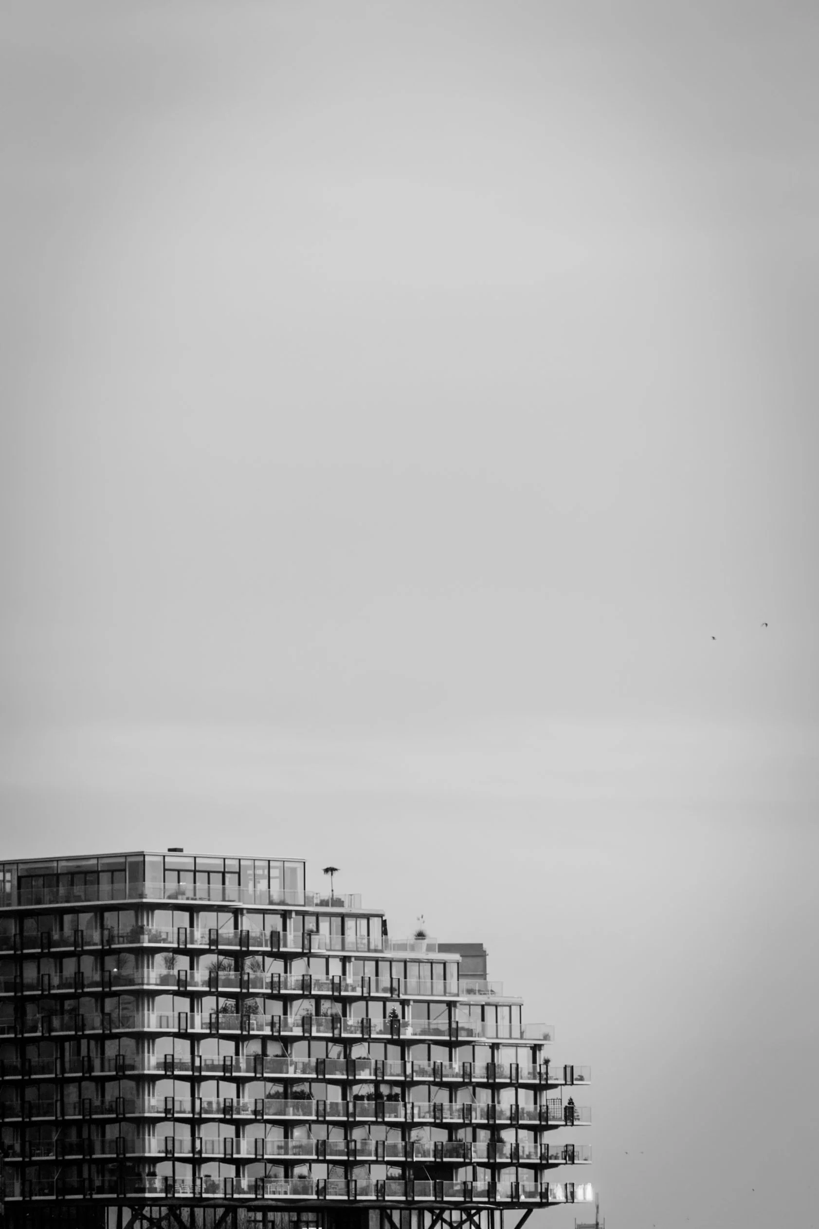 20201208-_MG_6816.jpg