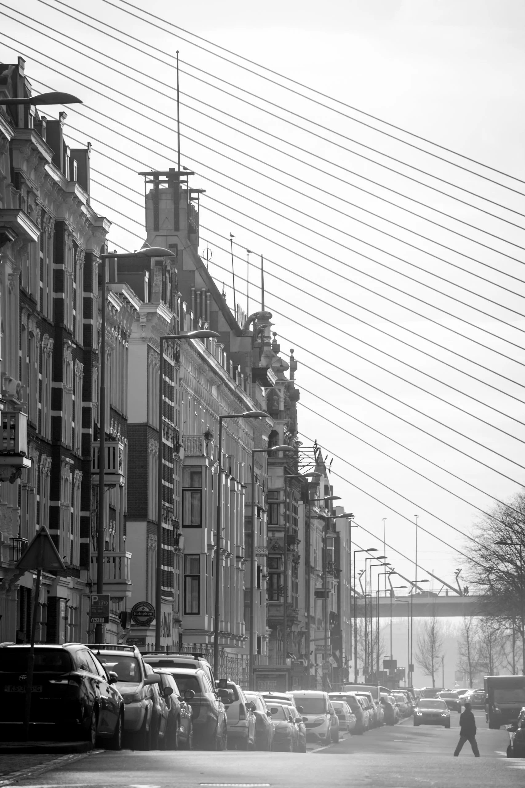 20210204-_MG_7687.jpg