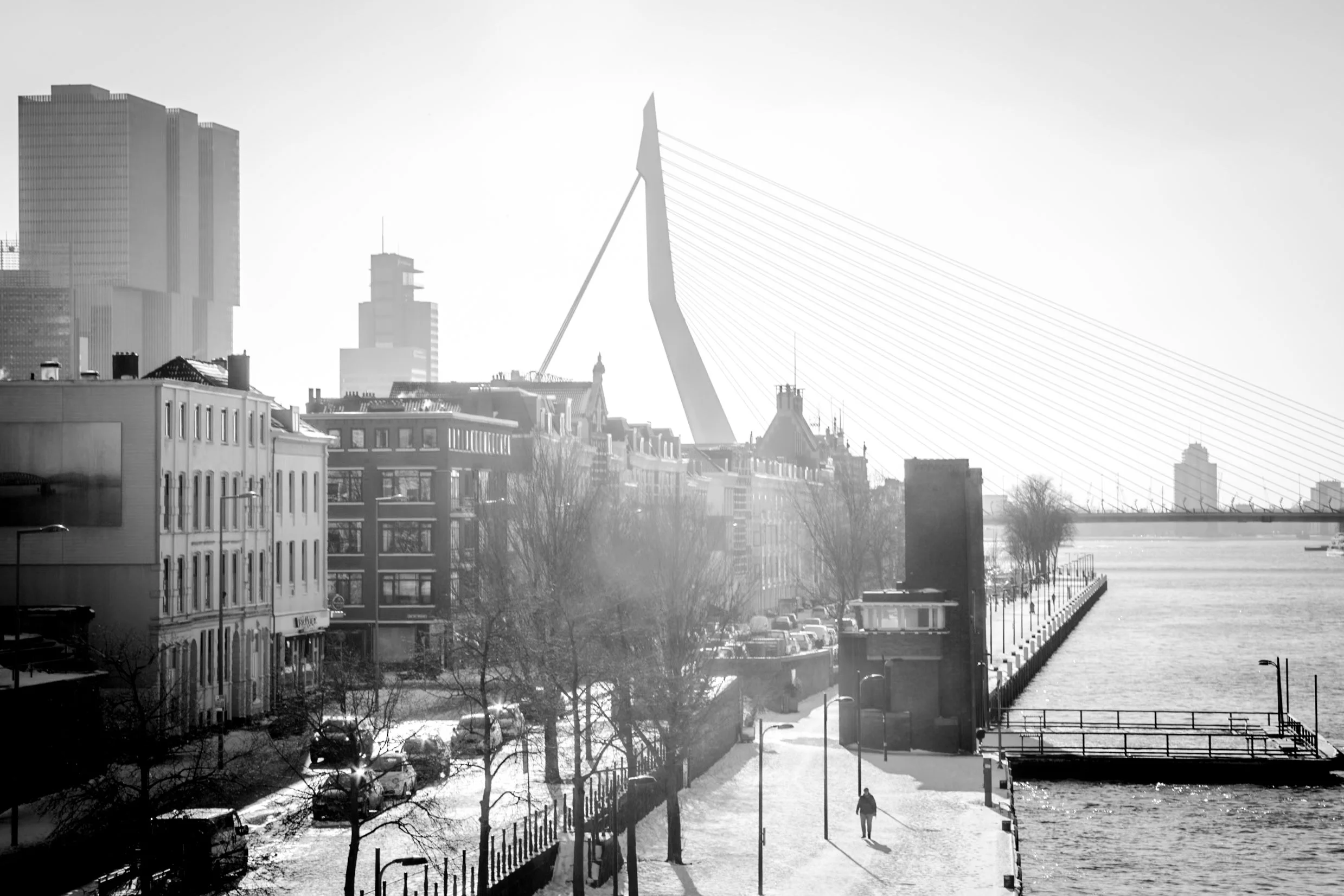 20210211-_MG_7757.jpg
