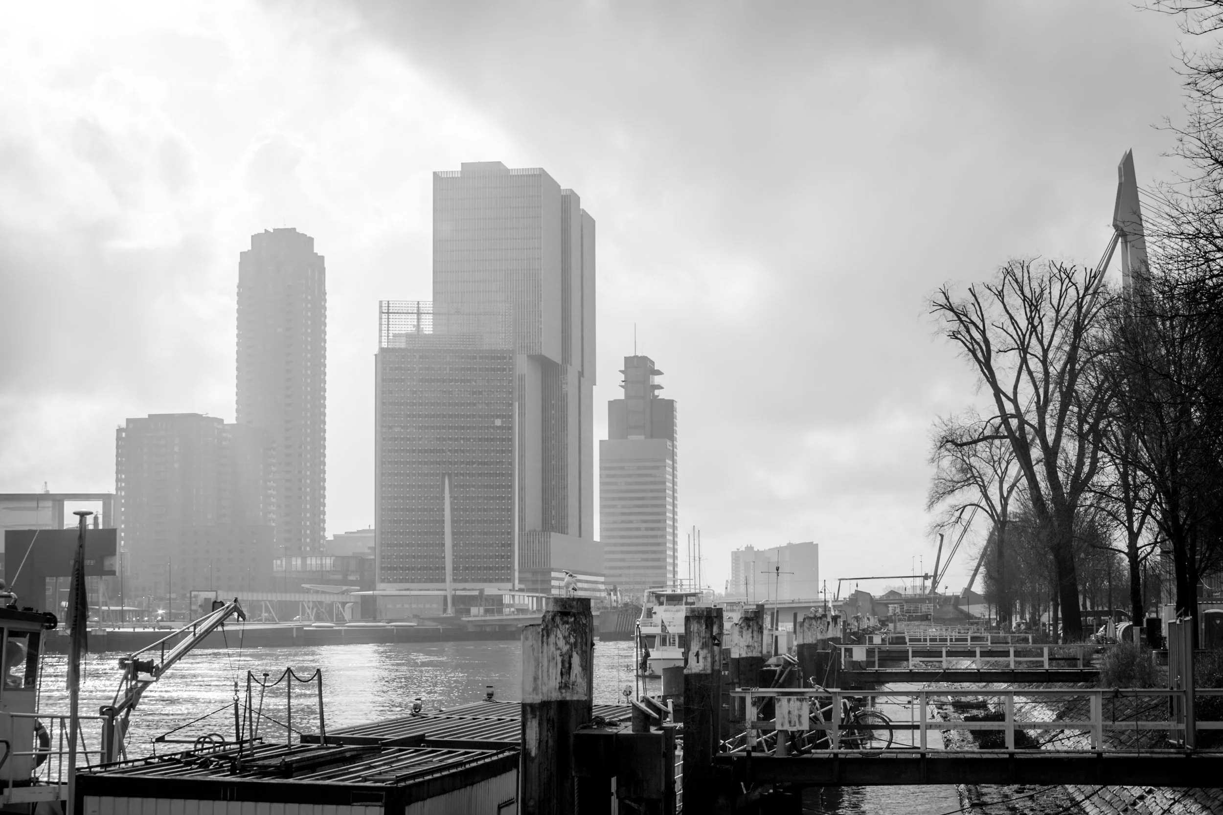 20210204-_MG_7477.jpg
