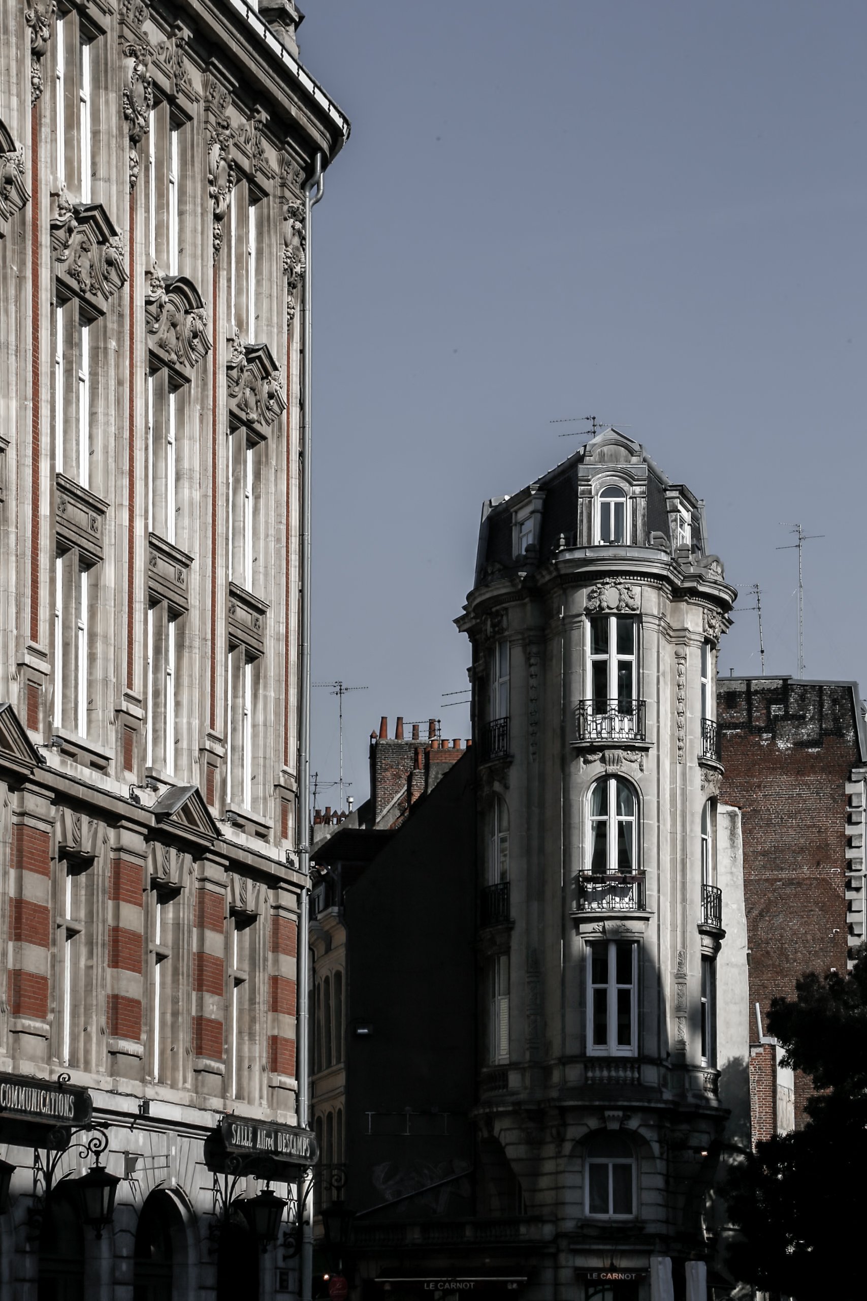 _MG_4071.jpg