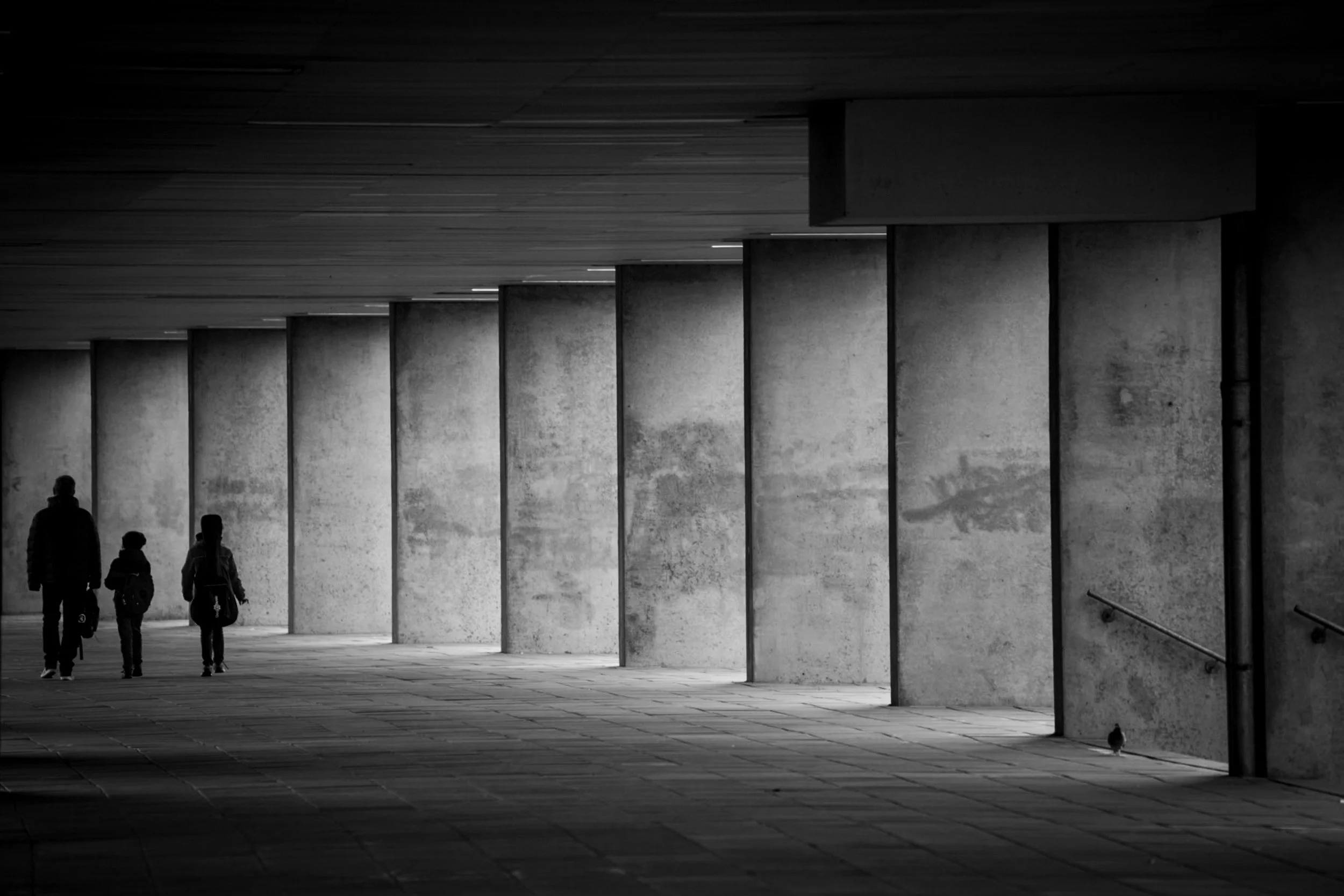 20201208-_MG_6693.jpg