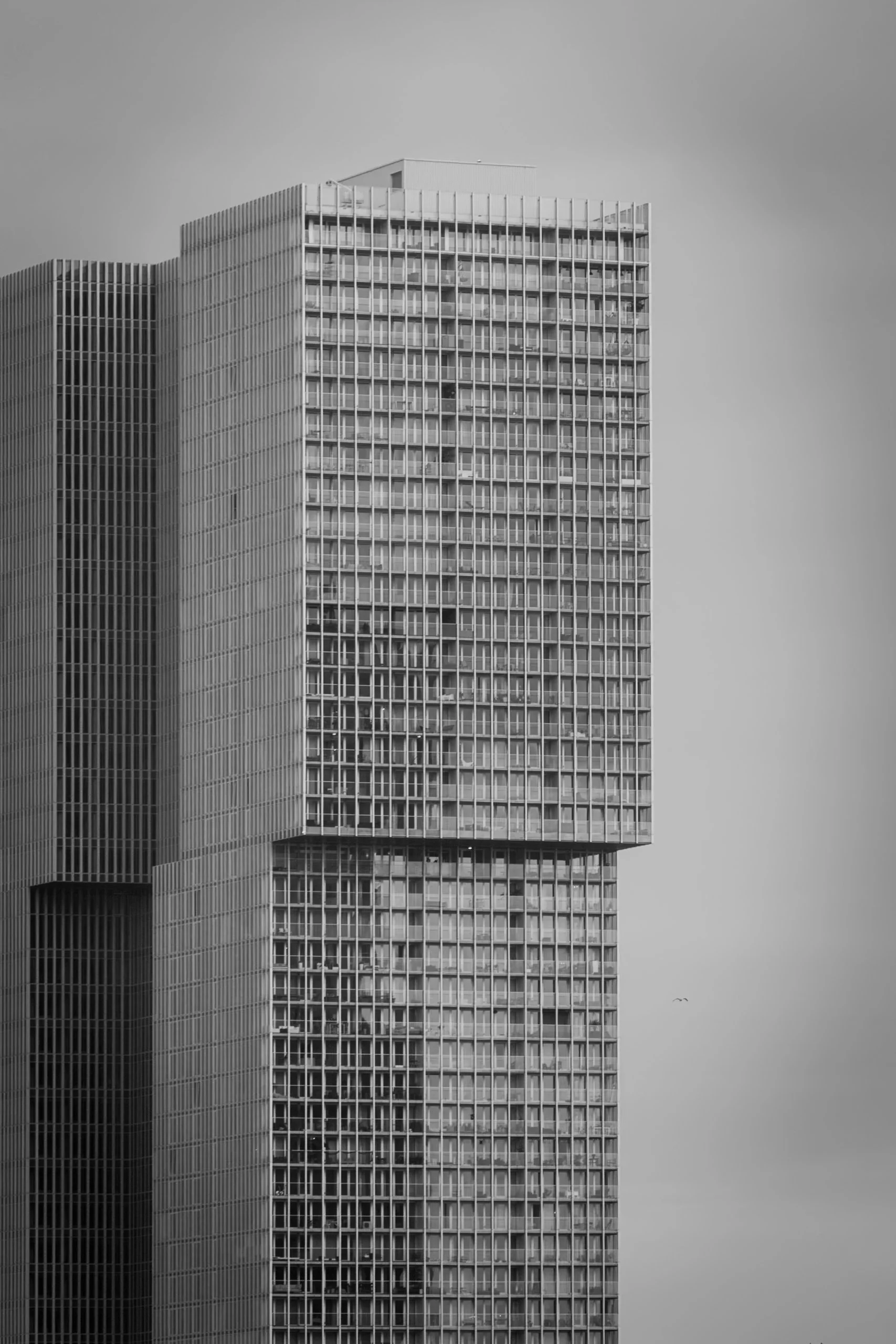 20201208-_MG_6778.jpg