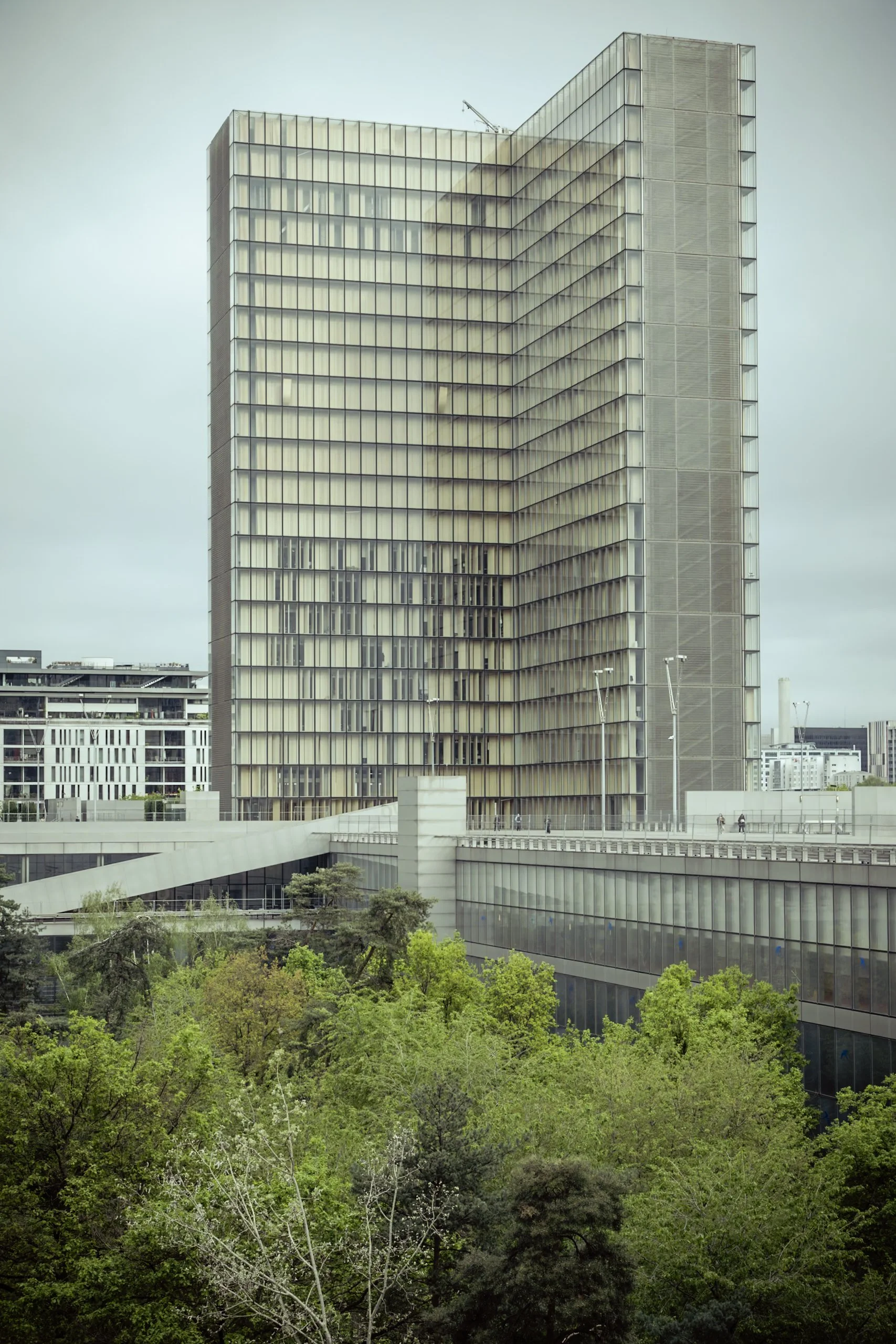 20240419-5G8A7554.jpg