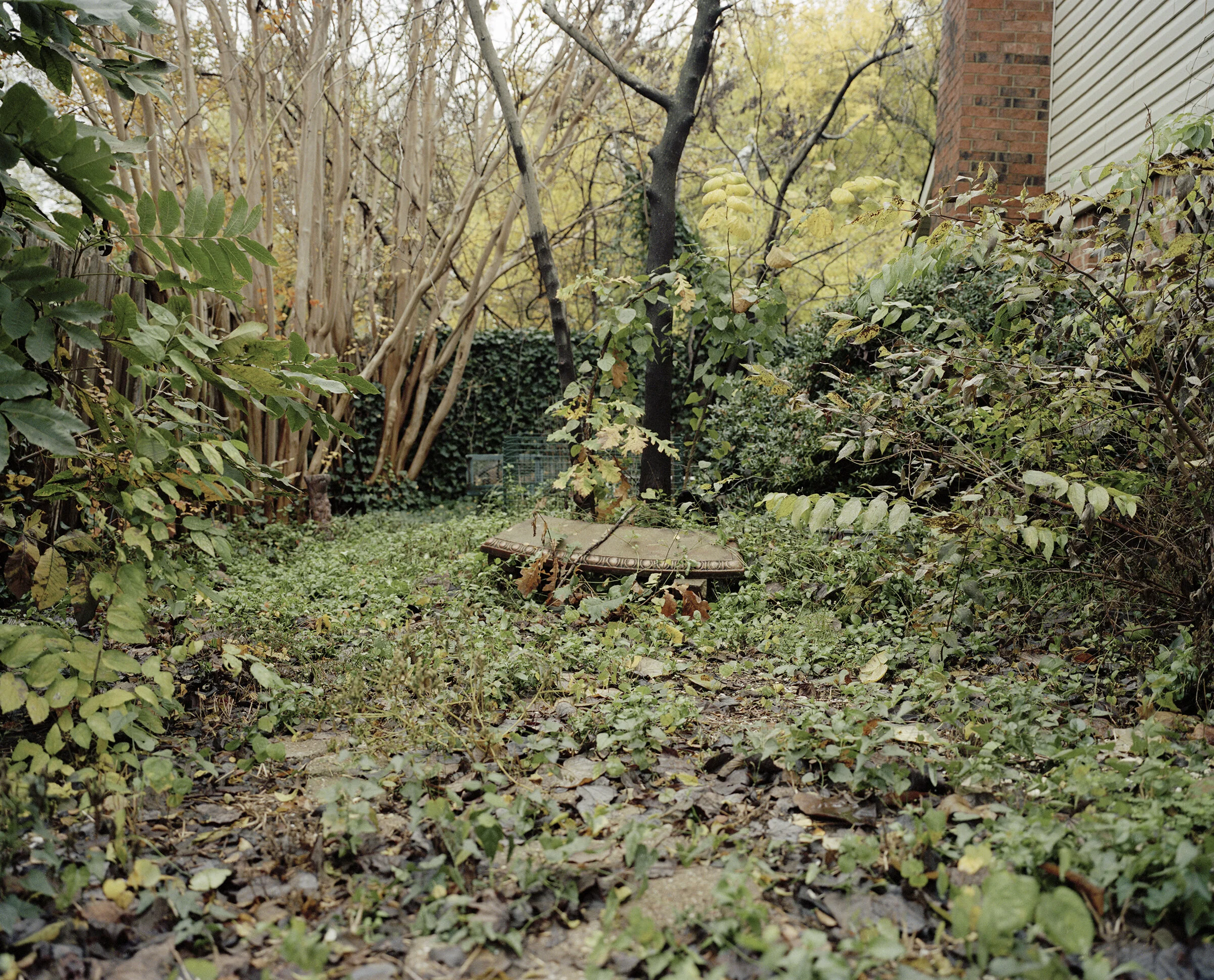 mothership_yard-bench 001.jpg