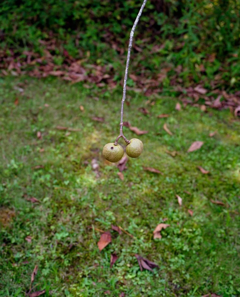647c3034b3d9d0b3-balls.jpg