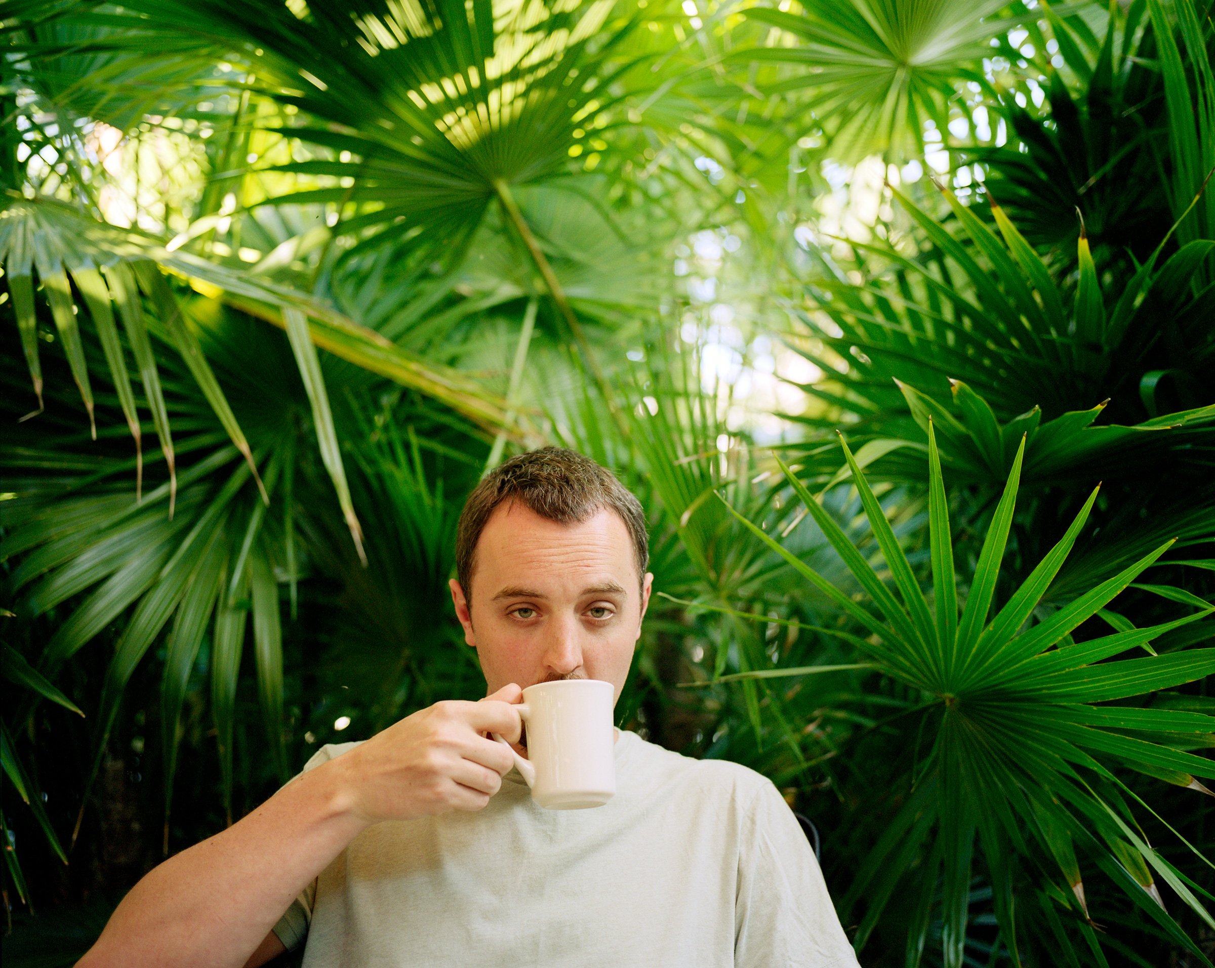 Mark-coffee_palms.jpg