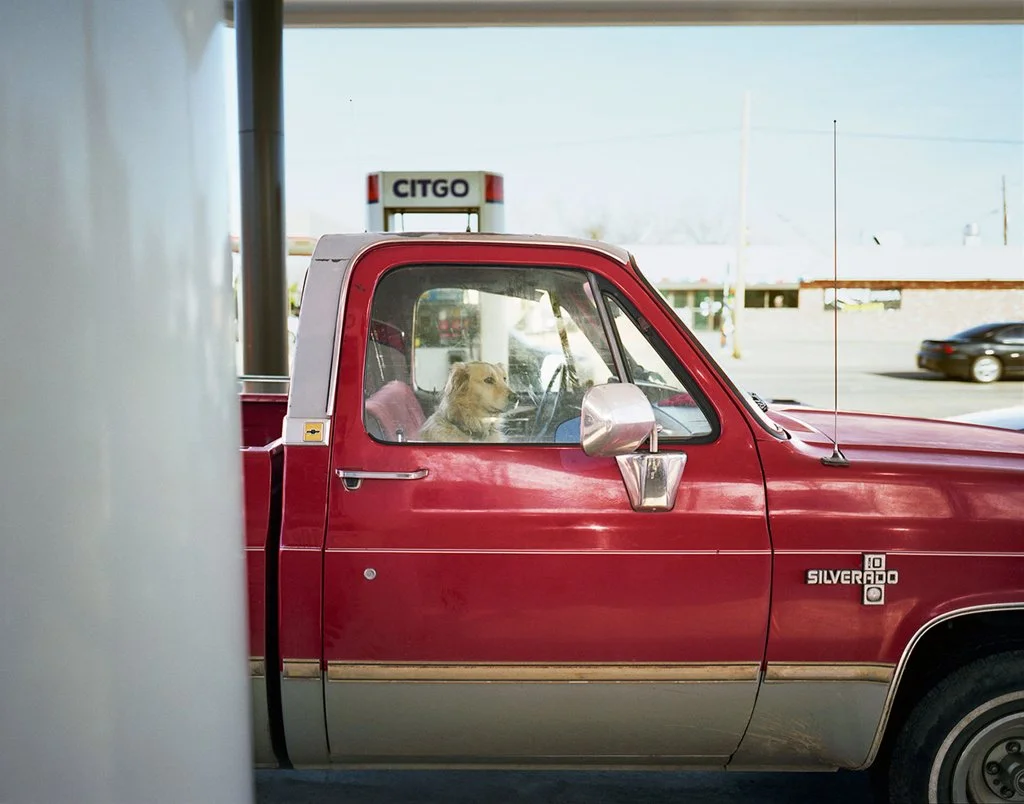 536bf5793c01800a-dog_in_truck_bg.jpg
