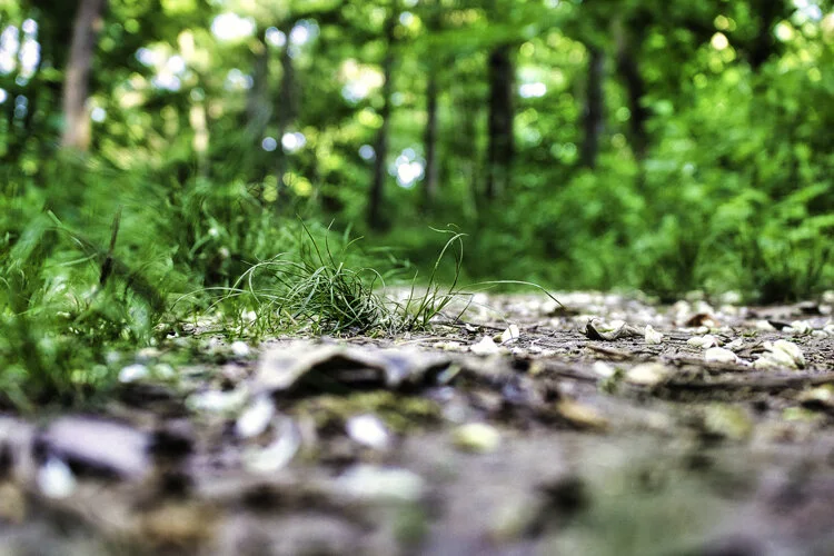 A moment on the walking path.