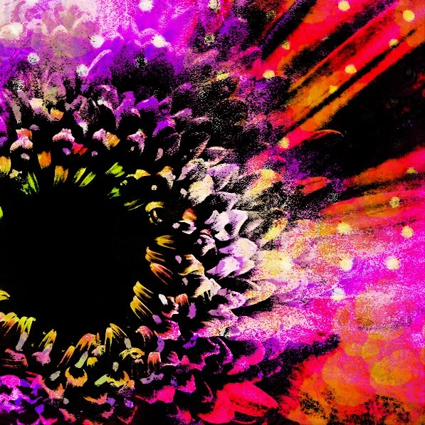 Sunflower Pop 9.jpg
