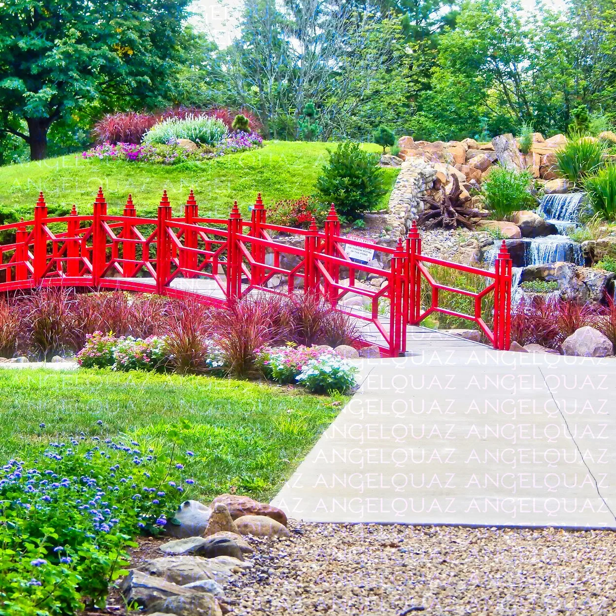 Nature Wonder Walks - The Walking Bridge