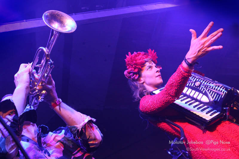 Molotov Jukebox at Pigs Nose 2017 by Simon Williams