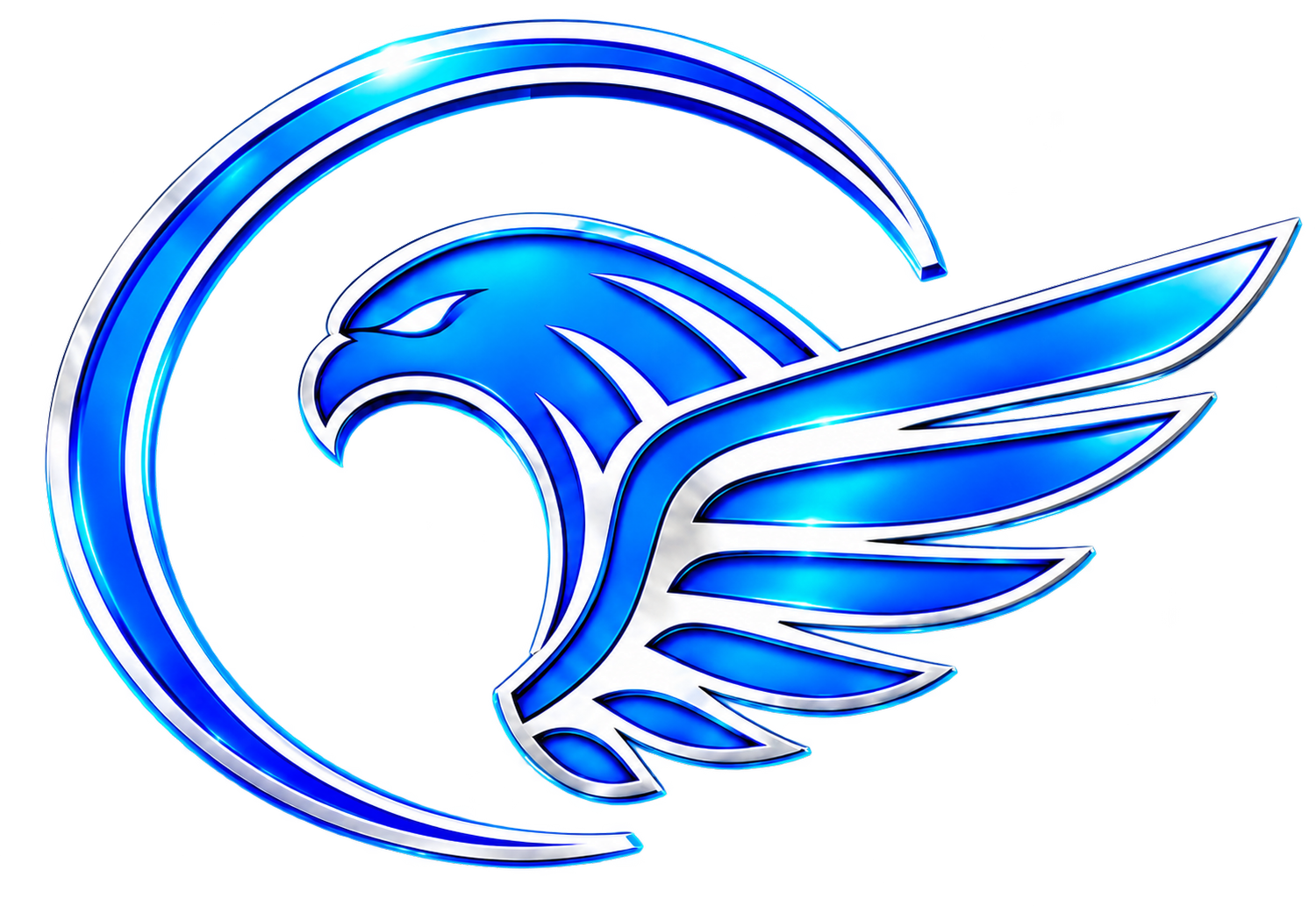 Blue Falcon Technologies LLC