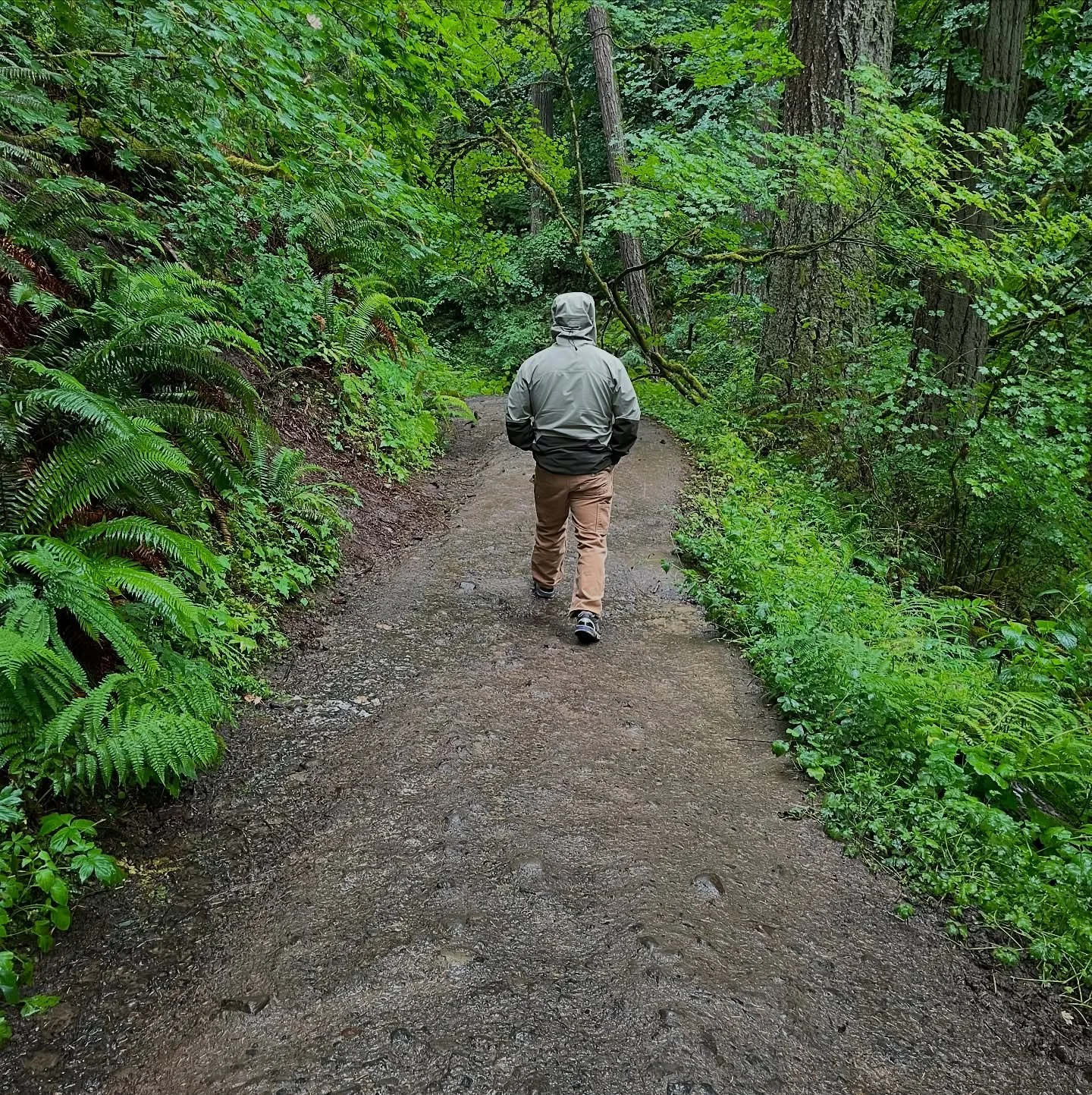 Some adventures from this past month in Portland&hellip; and Juliet of course