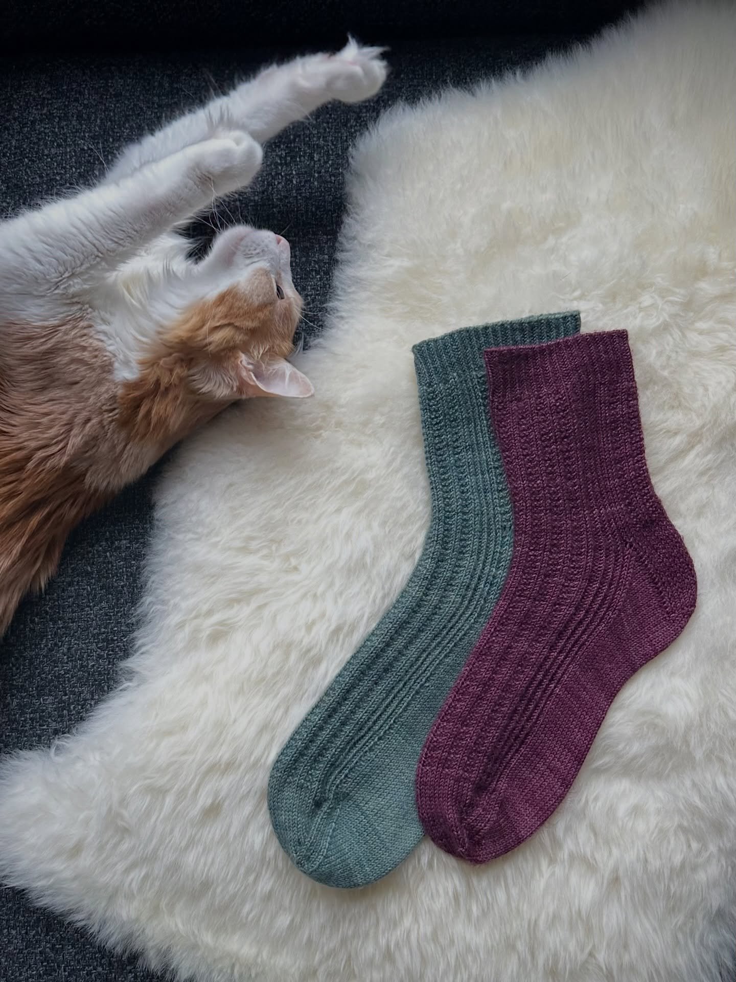 My plan was to take some photos of my new favorite socks, but Bagel completely stole the show. So instead, I present to you some really cute cat photos with my Anacortes Socks as a prop.

I&rsquo;m not even mad. He&rsquo;s so cute. 🌻🐈🧦

For anyone