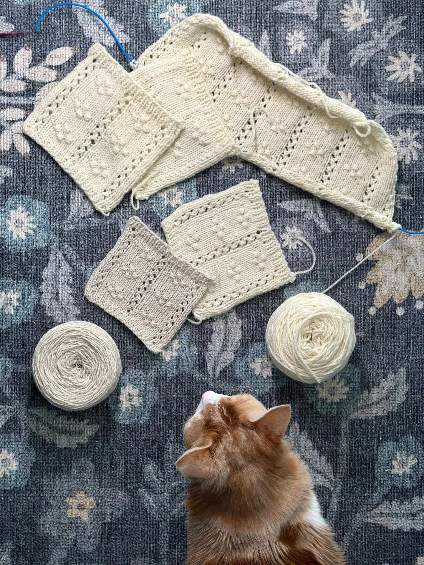 Just call Bagel the swatch supervisor today 🐈

I cast on my new version last night and made decent progress, only to realize I need to rip out the last 4 rows after missing a lace repeat that can&rsquo;t be fixed by laddering down.

It&rsquo;s part 