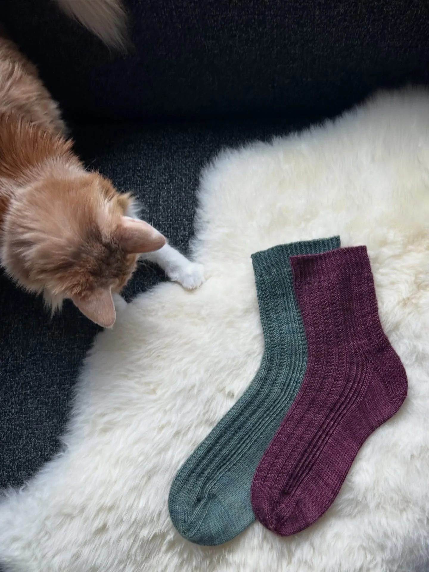 Are you getting ready for the Anacortes KAL? I found a few more photos from my Anacortes Socks-turned-Bagel photoshoot and had to share them in my excitement for the upcoming knit-along. I really was trying to highlight all the beautiful lines of the