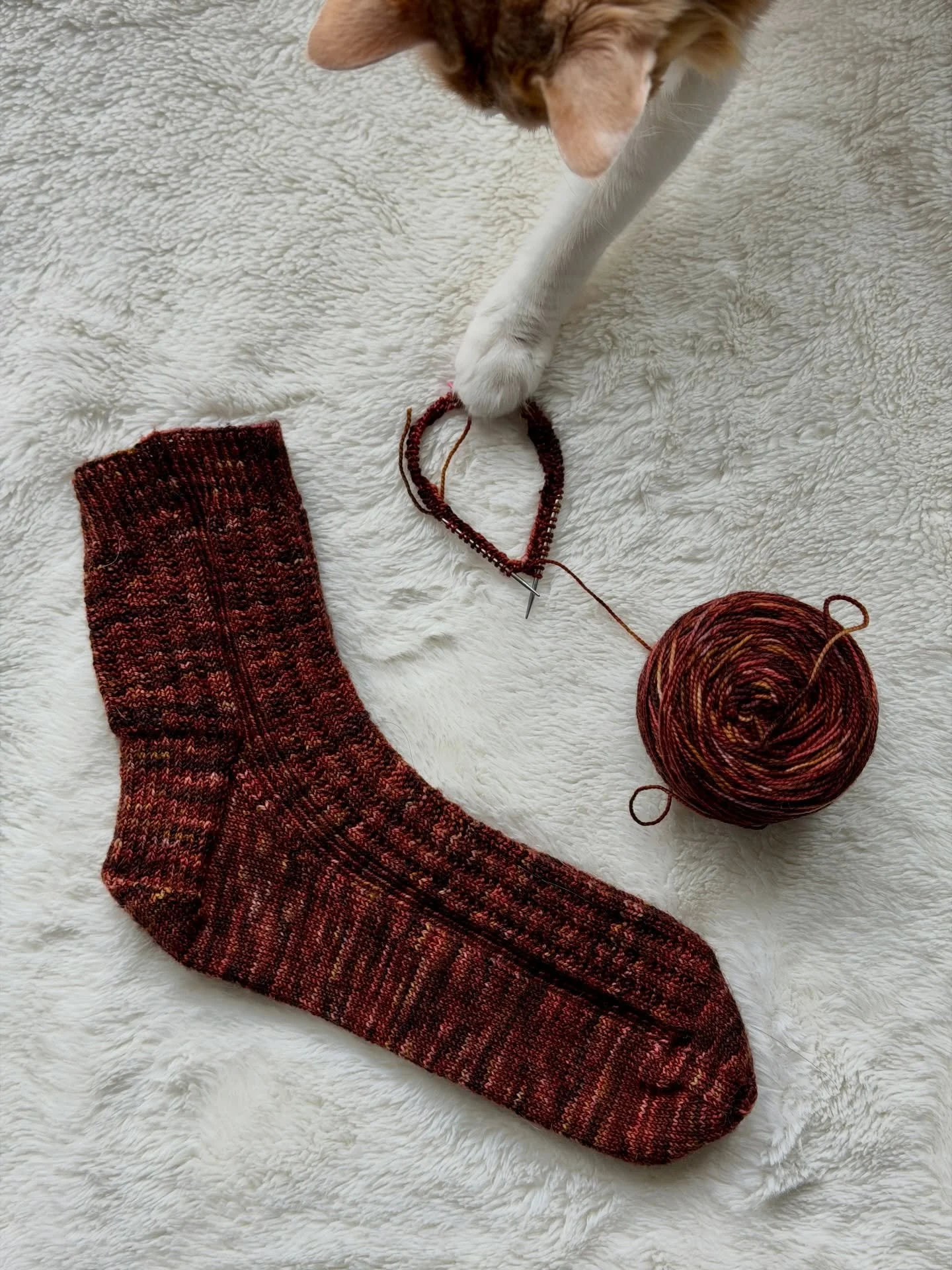 Just cast on the second Anacortes Sock for Thomas, with a little help from Bagel as always. 🐱

These socks have been my fun, mindless knit that I keep for evenings and weekends when I want to unwind. It&rsquo;s so fun to see the progress happening w