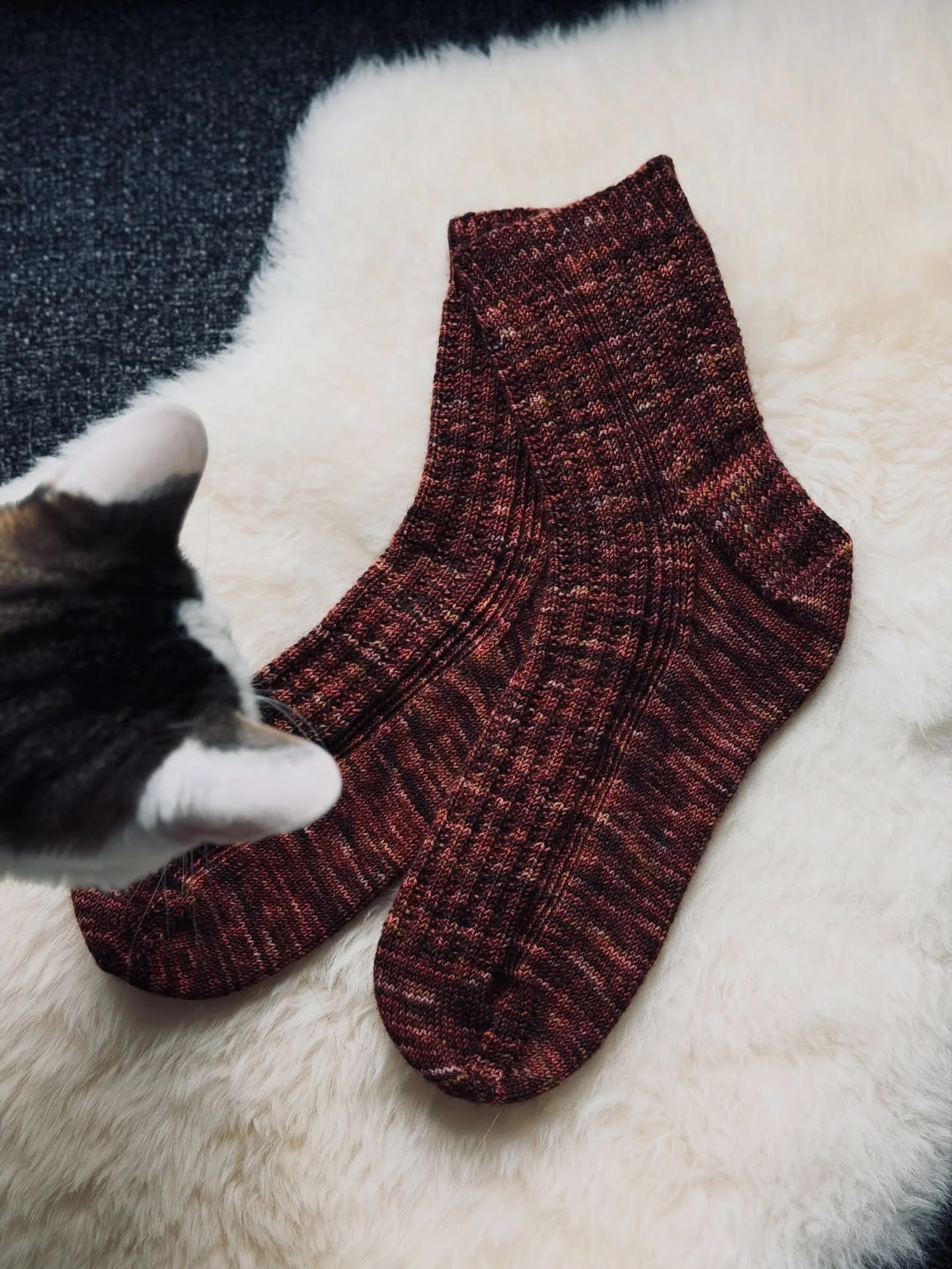 My second pair of Anacortes Socks for Thomas are finally done, and Tuna approved 🐾

Thomas has been wearing his first pair more than any of his other handknit socks, so I really wanted to get this pair done for him to add to the rotation. I took a f