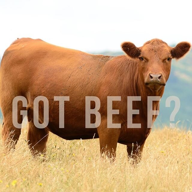 Got beef? We've got beef market reports. ⁠
⁠
Sign up today to learn more through the link in our bio.