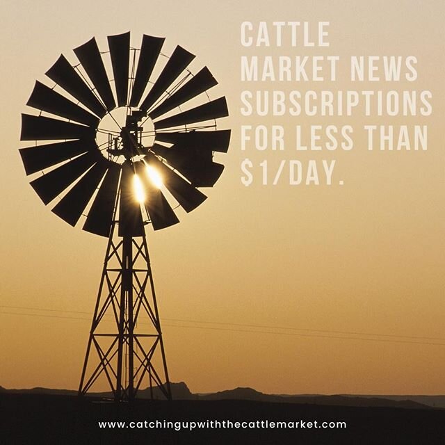 That's less than feeding grain.⁠
⁠
Subscribe using the link in our bio.