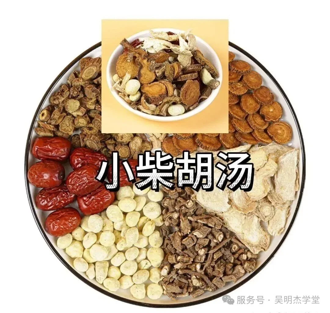 Fengyang Video Call Notes: Clinical Use of Xiao Chai Hu Tang