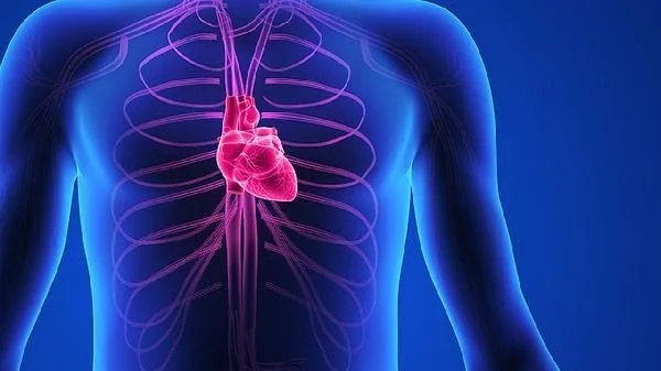 Wu Mingjie Clinical Case: 41-Year-Old with Tricuspid Regurgitation—Reversed in Eight Doses with Qi-Tonifying and Blood-Activating Therapy