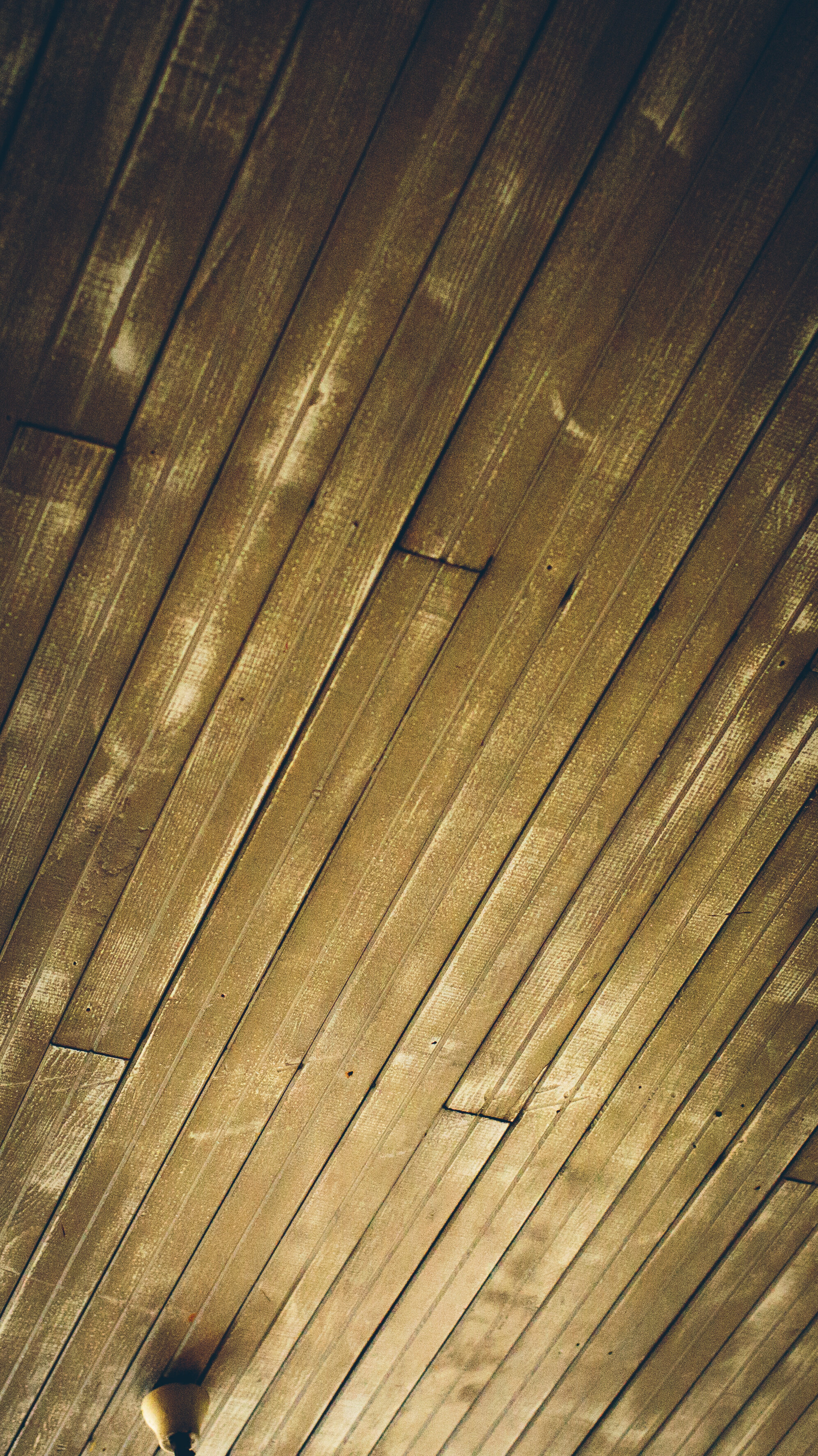 1H7A0017.jpg