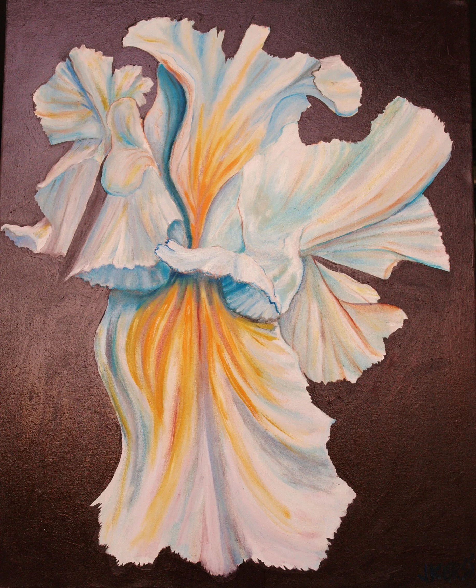 Iris