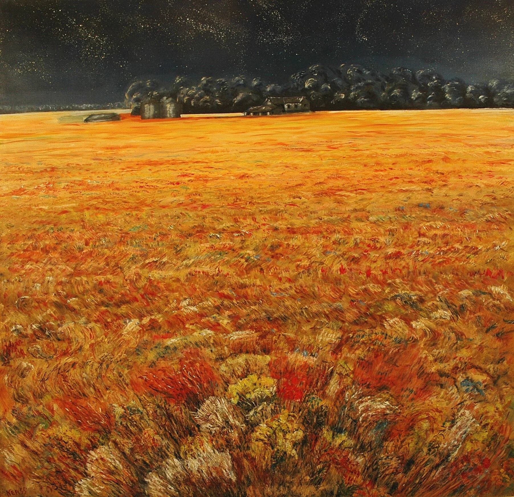 Field at Night
