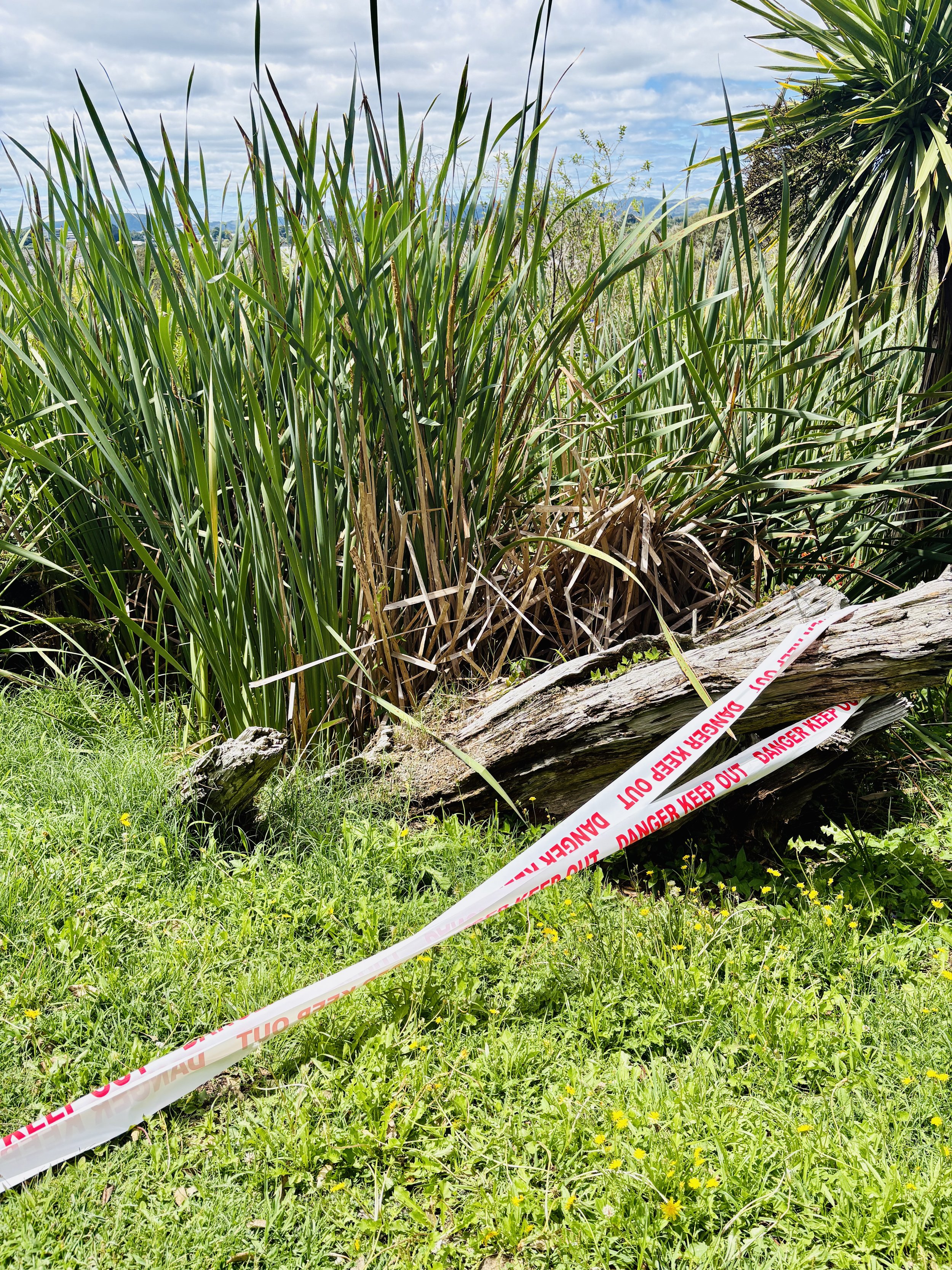 Insurance, not just a box ticking exercise.