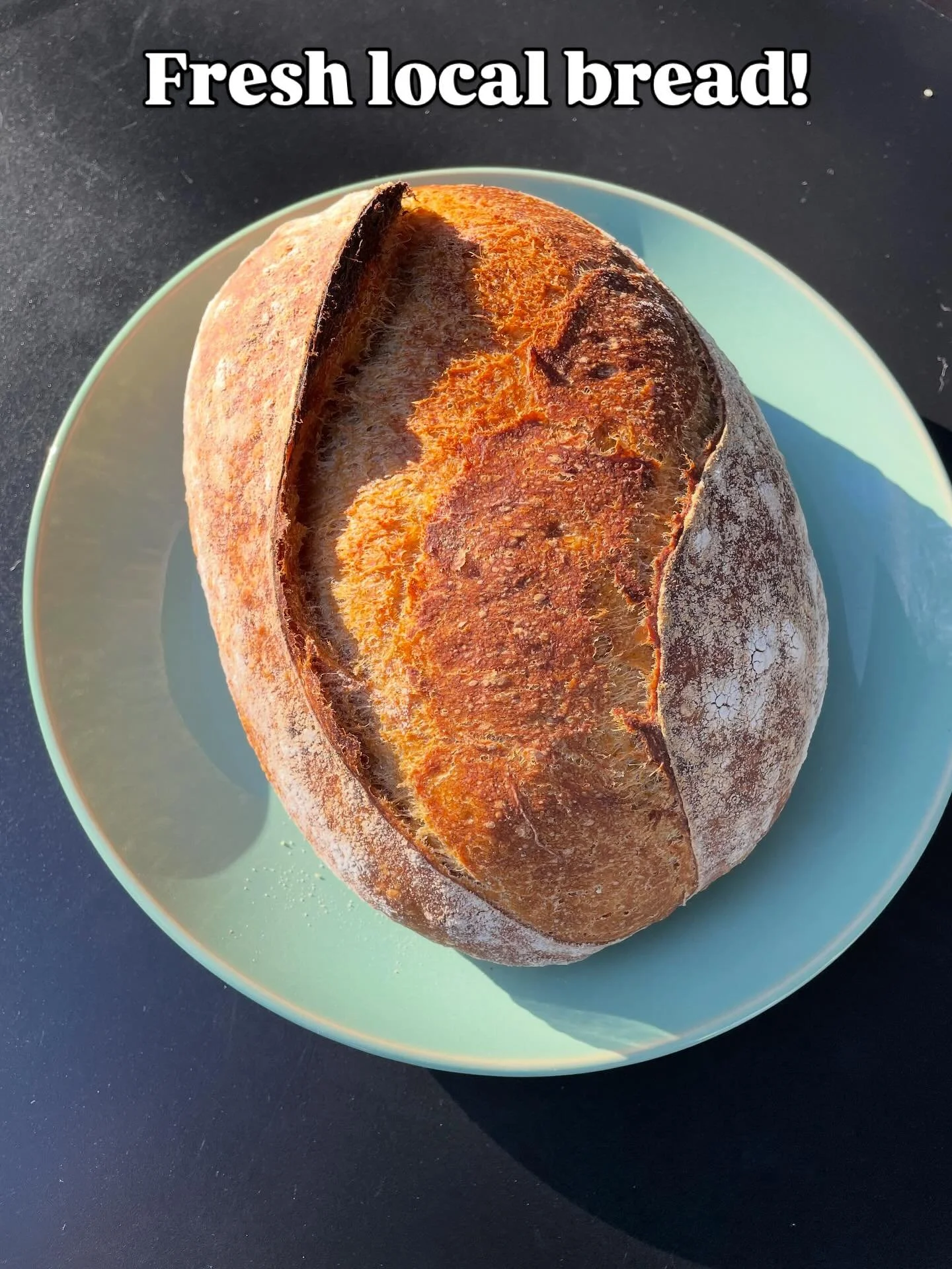 Come see us in the farm store this Saturday, 9 to 1 for a big sale on pork and fresh, local bread from @bluetailbakes. We will have a limited amount, and will take a few reservations if you know you want a loaf. And take advantage of our big sale &nd