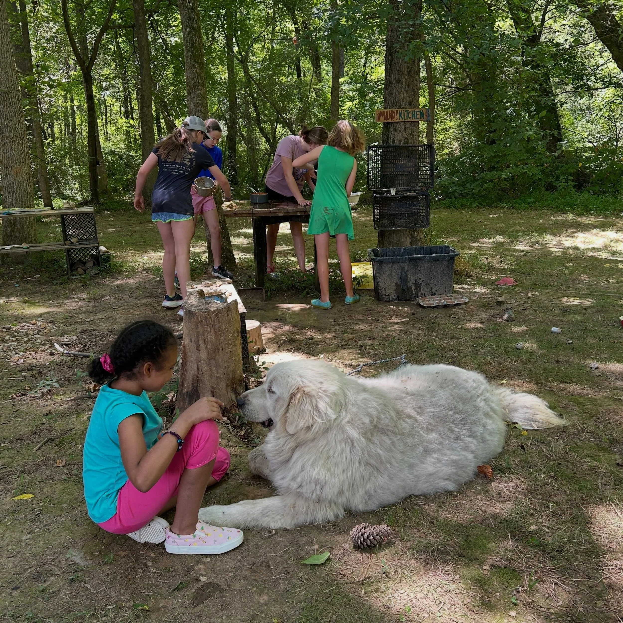 Summer Camp Scholarships are now available! Link in bio to apply for full scholarships to our Youth Farm Camp or Basket Weaving camps this summer. Come learn skills and meet the dogs, cat, pigs, chickens, goats, and bunnies. Thanks to those members o