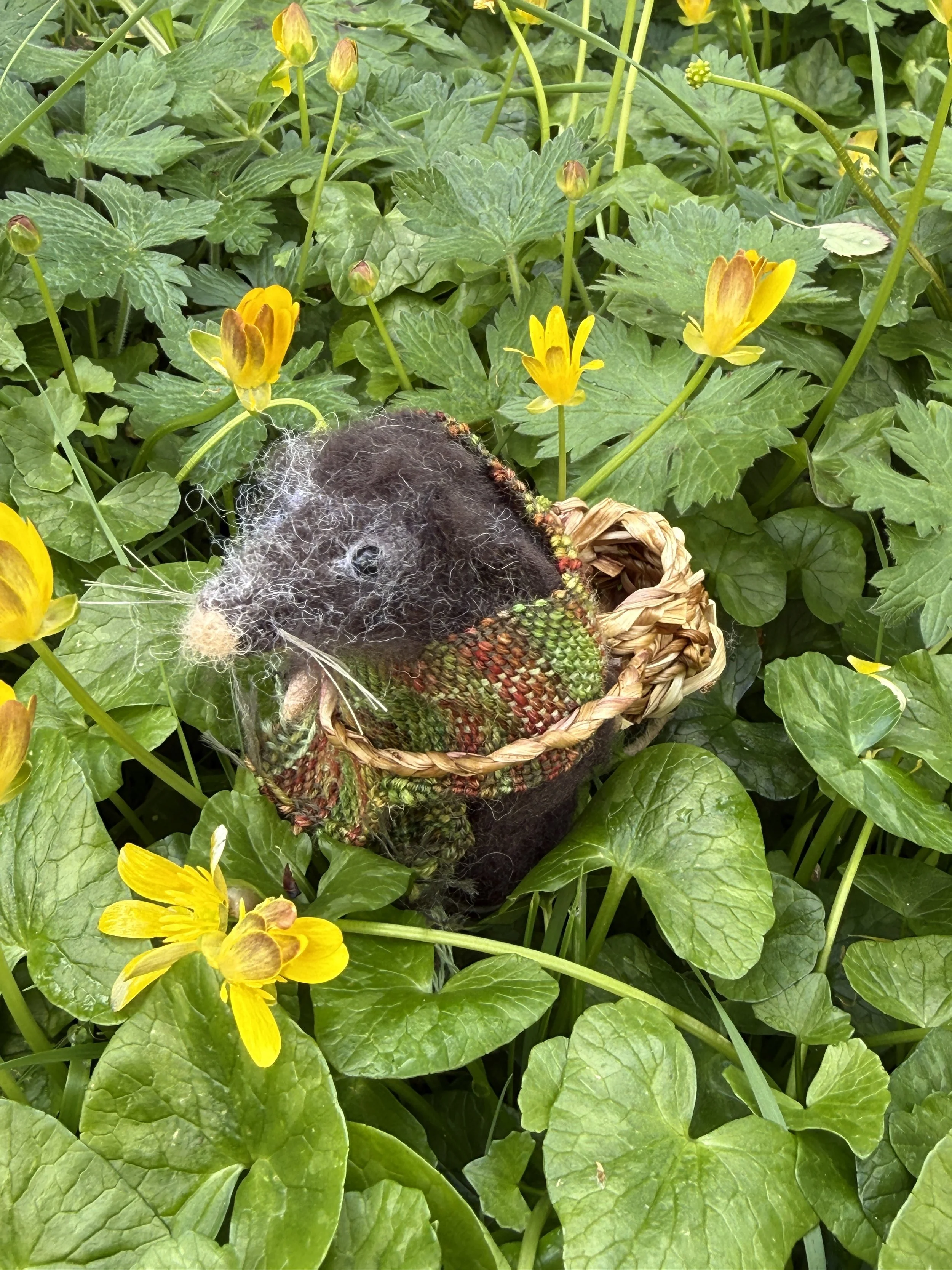 Needle felted shrew animal celestine and the hare _2760.JPG